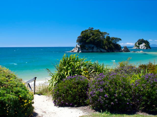 <p>Little Kaiteriteri, near the author’s hometown of Nelson, New Zealand </p>