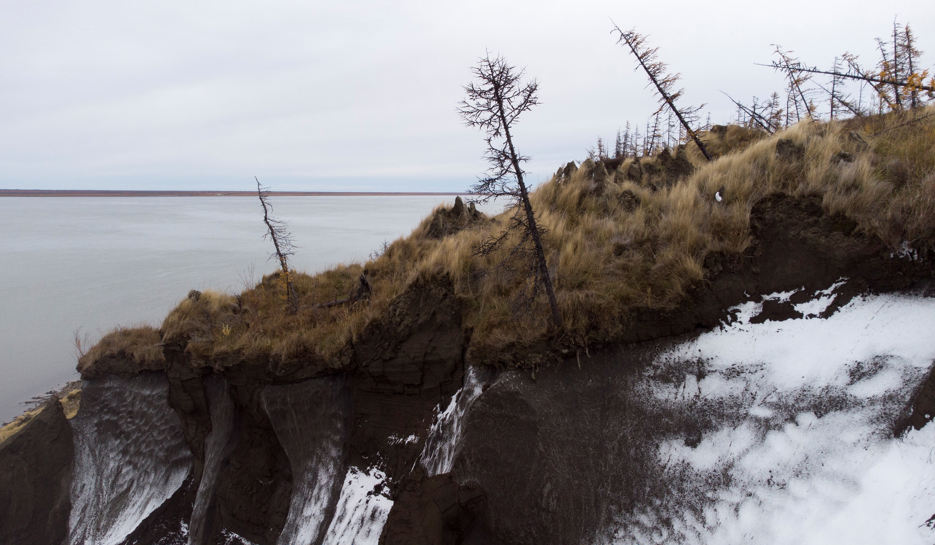 Trees lean precariously at Duvanny Yar