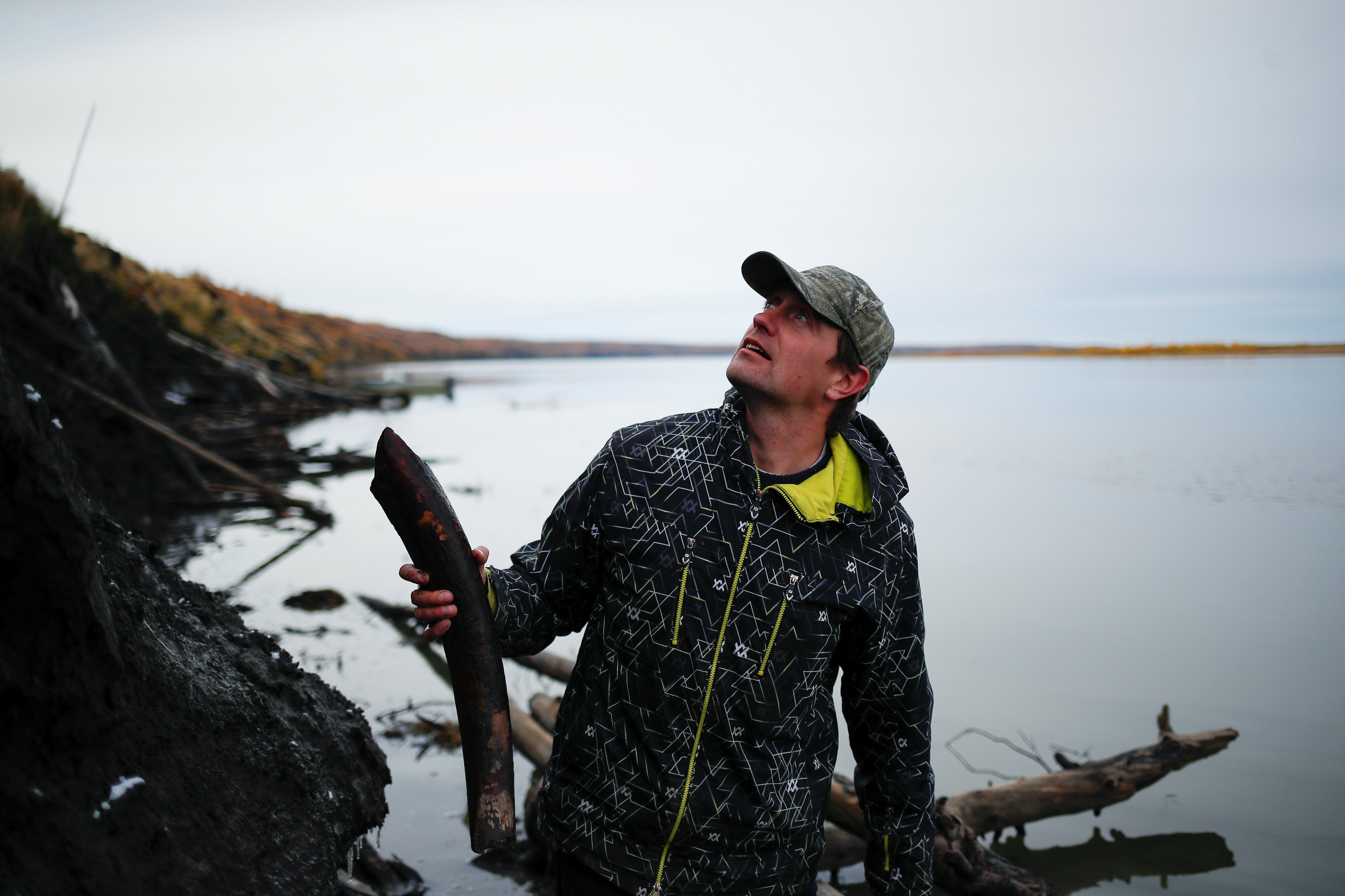 Nikita Zimov, the director of the Pleistocene park, holds a piece of a mammoth’s tusk