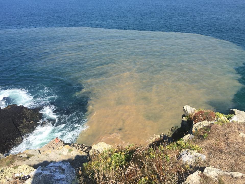 A sewage slick at Newquay, Cornwall