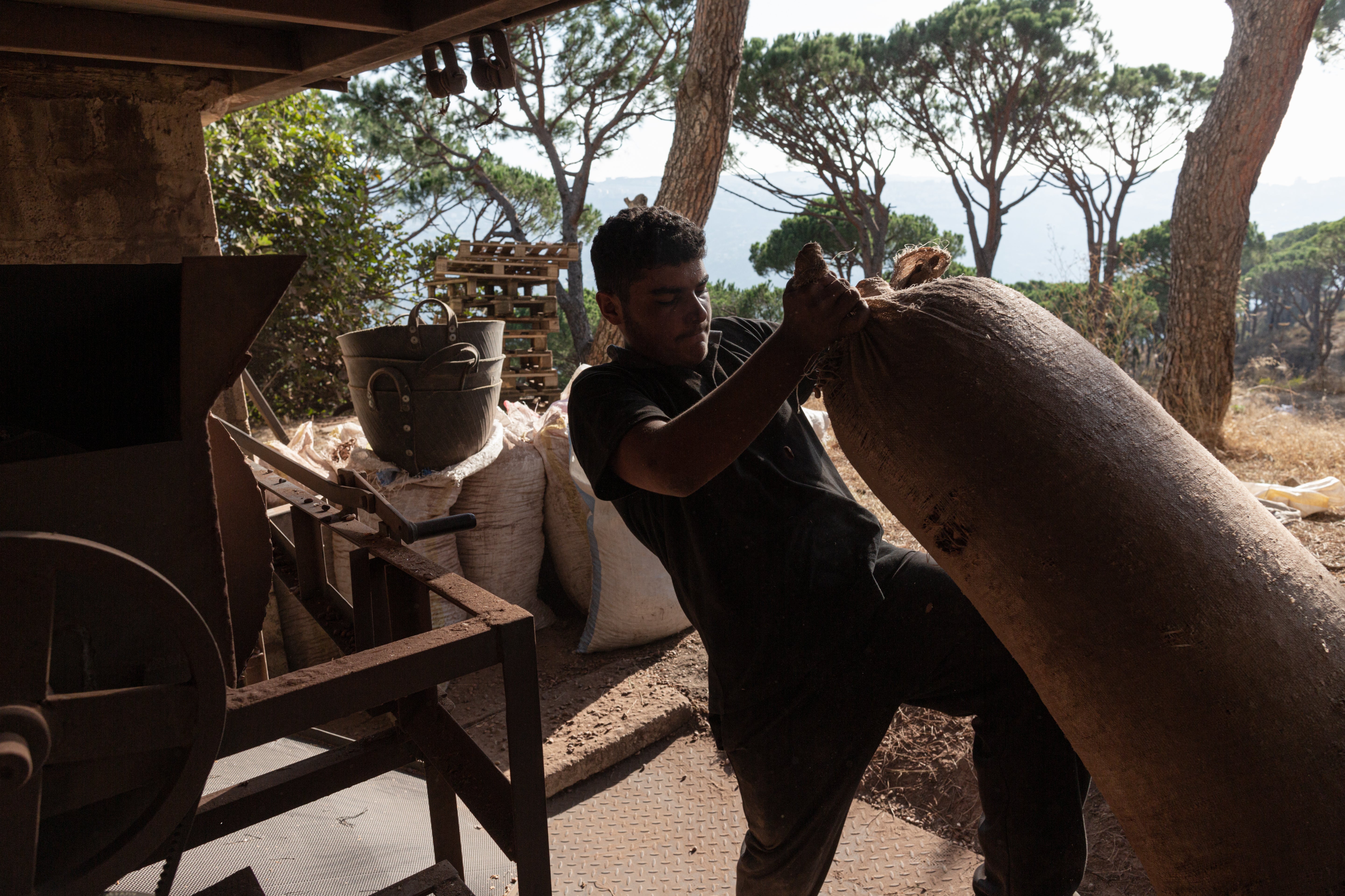 Jumaa Khaled al-Sheikh hauls a sack of pine cone husks at a production facility in the village of Ras al Metn