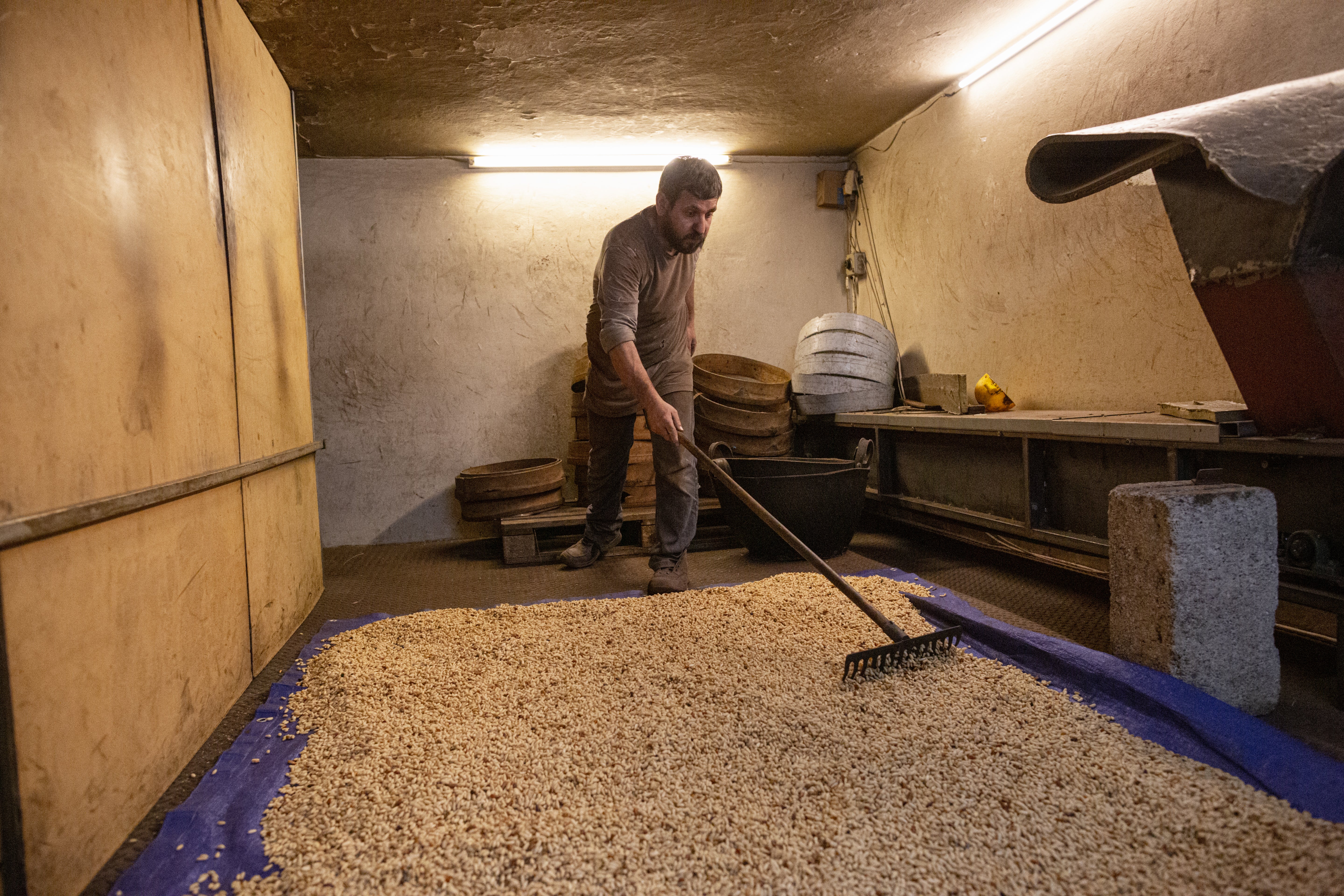 Sameh Hmaideh rakes pine seeds ready for toasting