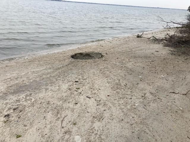 An unspecified device left a 4ft-wide and 2ft-deep crater on Fox Island in New York