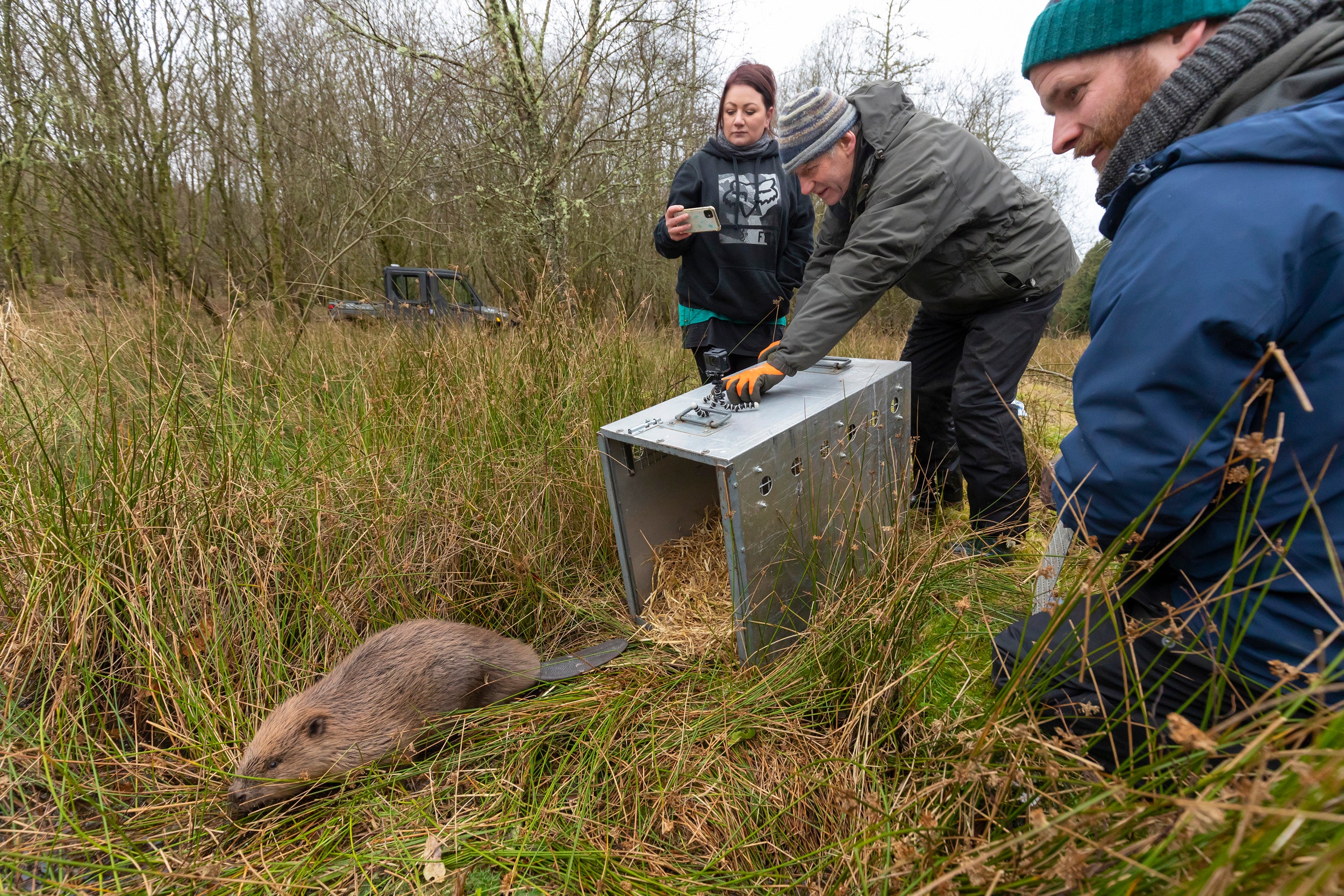 A family of beavers has been released at The Argaty Red Kites centre near Doune (scotlandbigpicture.com /PA)