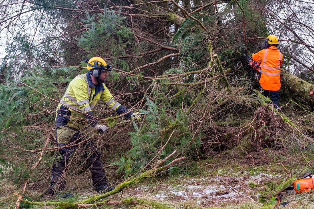 Engineers are working to repair damage (SSEN/PA)