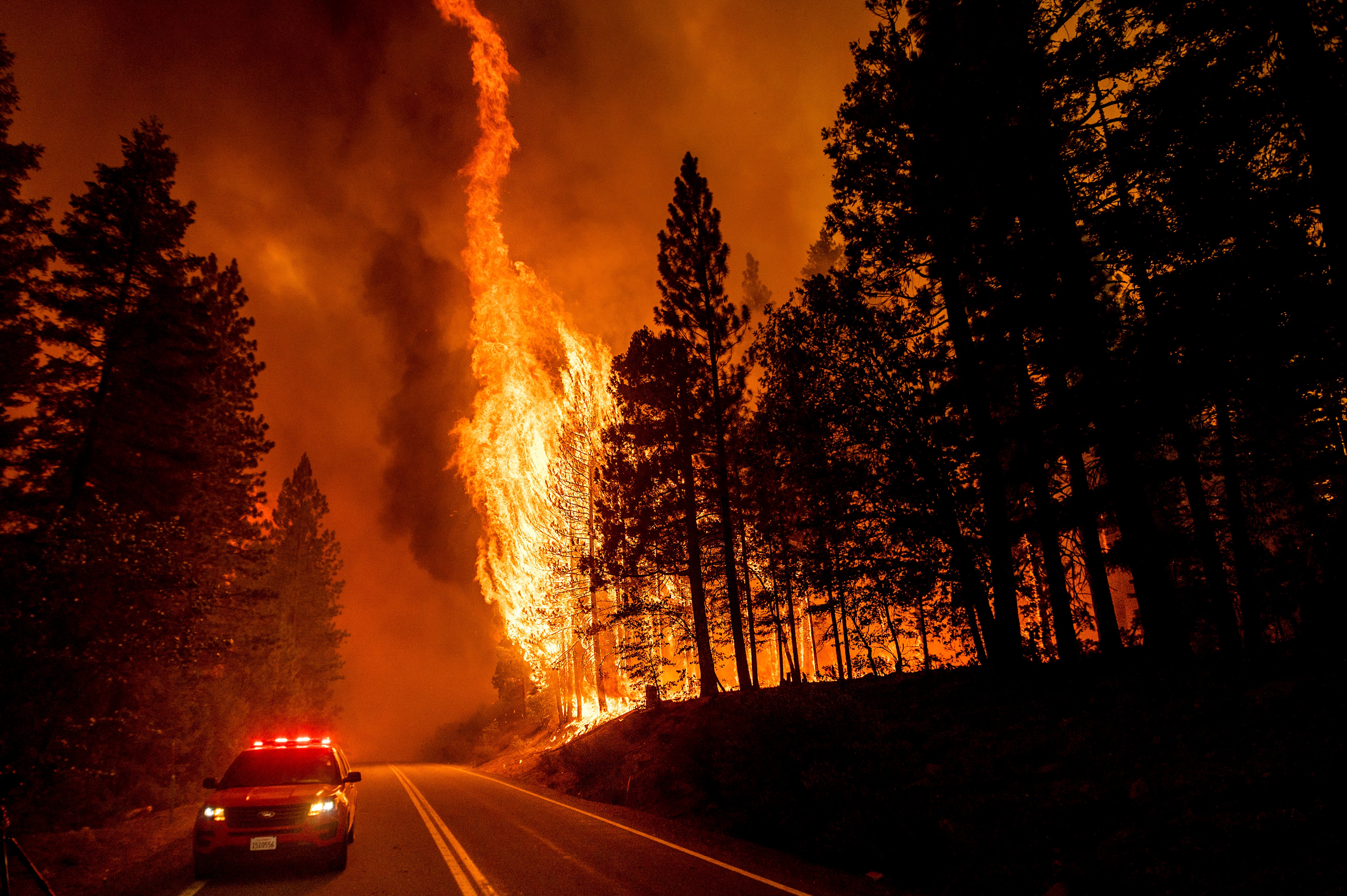 Flames leap from trees as the Dixie Fire jumps Highway 89 in Plumas County, California, on August 3, 2021. It is believed to be the first wildfire to crest the Sierra Nevada mountains