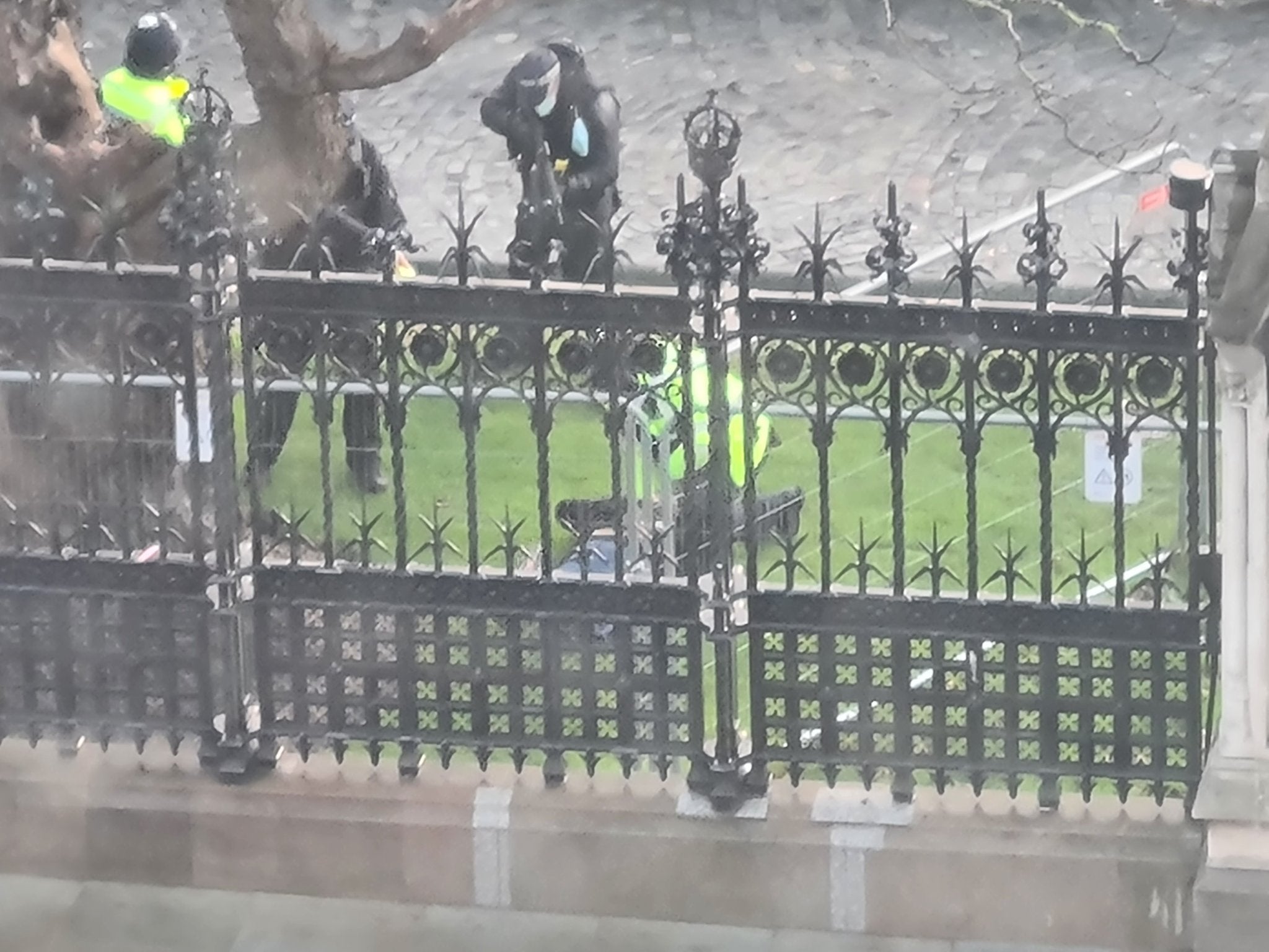 Armed police detained intruder near Carriage Gates