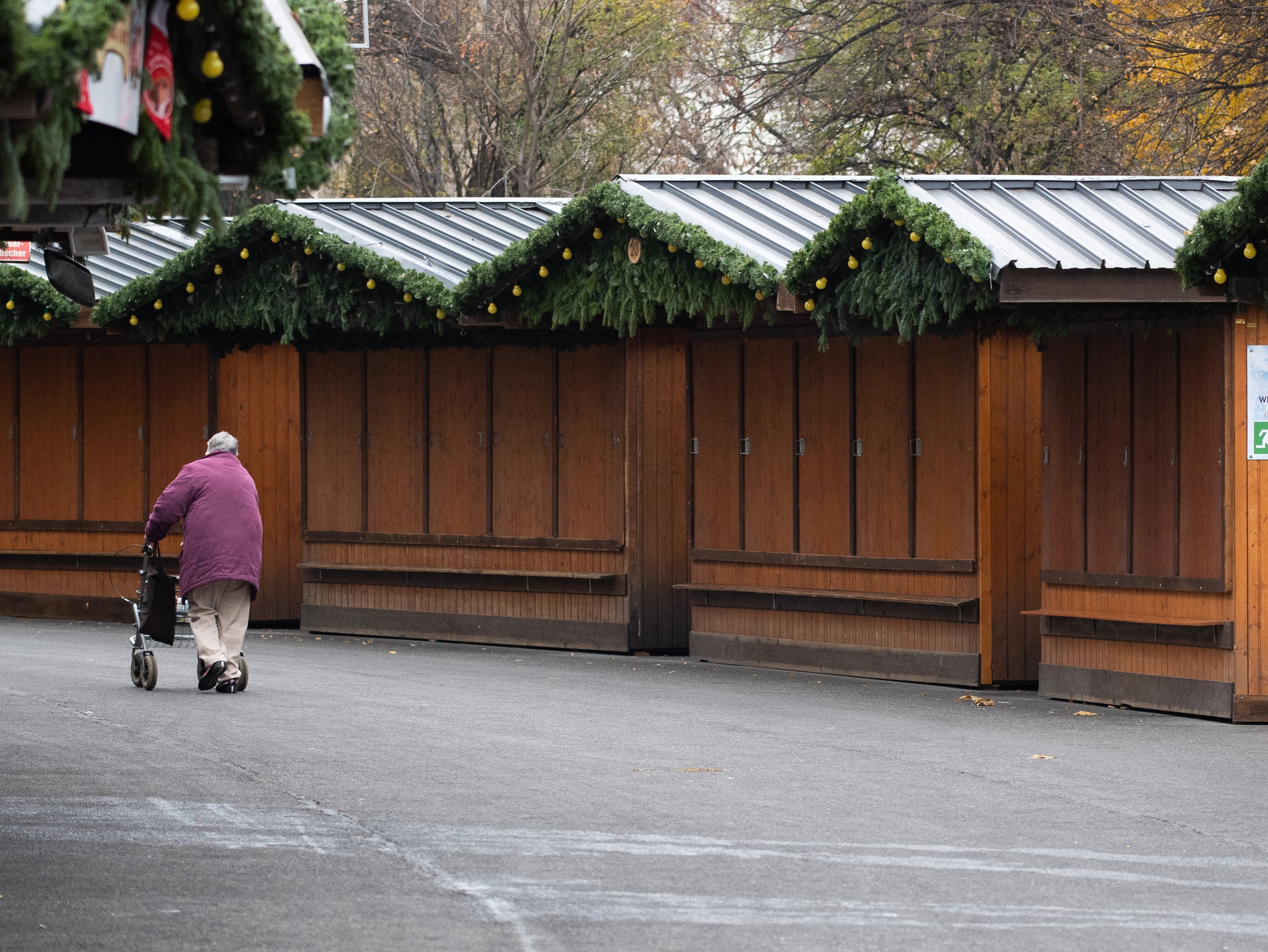 Austria extends Covid lockdown by 10 days – but amends rules to permit sale of Christmas trees