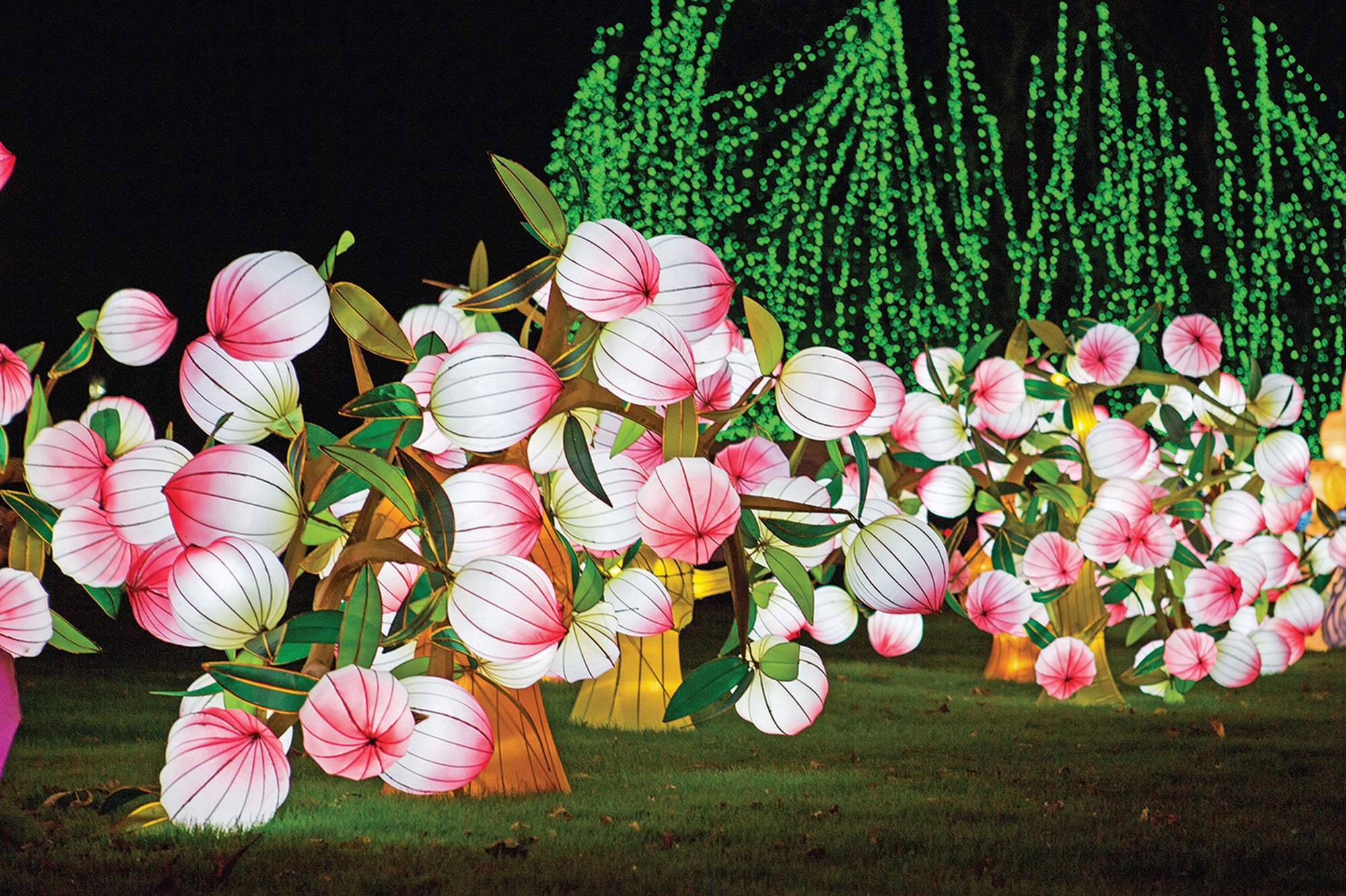 The lanterns are handmade in China using traditional techniques before being shipped to the UK