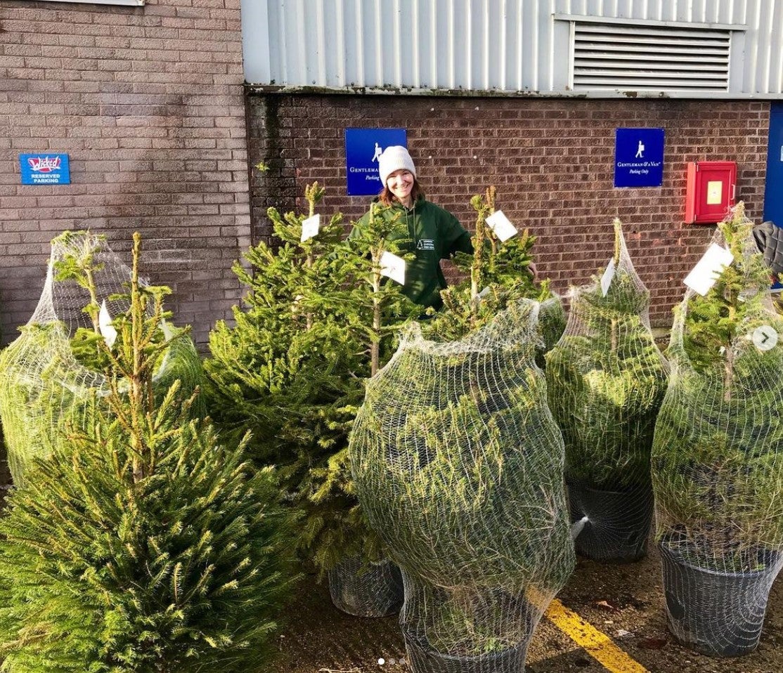 London Christmas Tree Rental was established in 2018