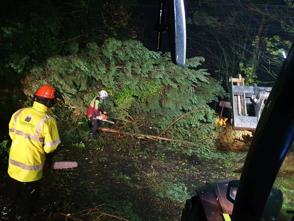 Council contractors in Northumberland remove trees felled by Storm Arwen