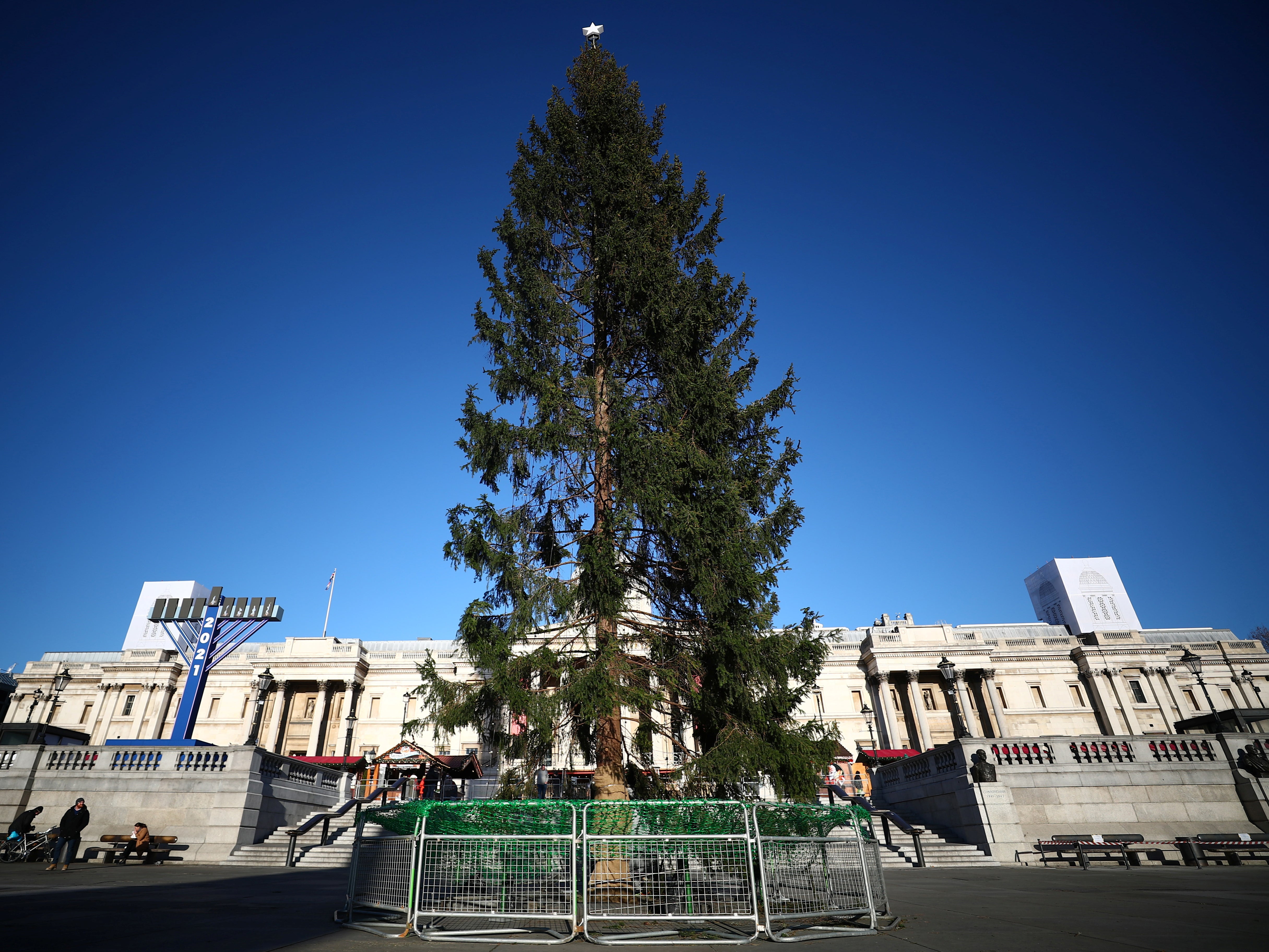 A view shows the Trafalgar Square Christmas tree, a gift from Norway, in Trafalgar Square, London