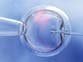 Scientists ‘rejuvenate’ human eggs in breakthrough for IVF treatment