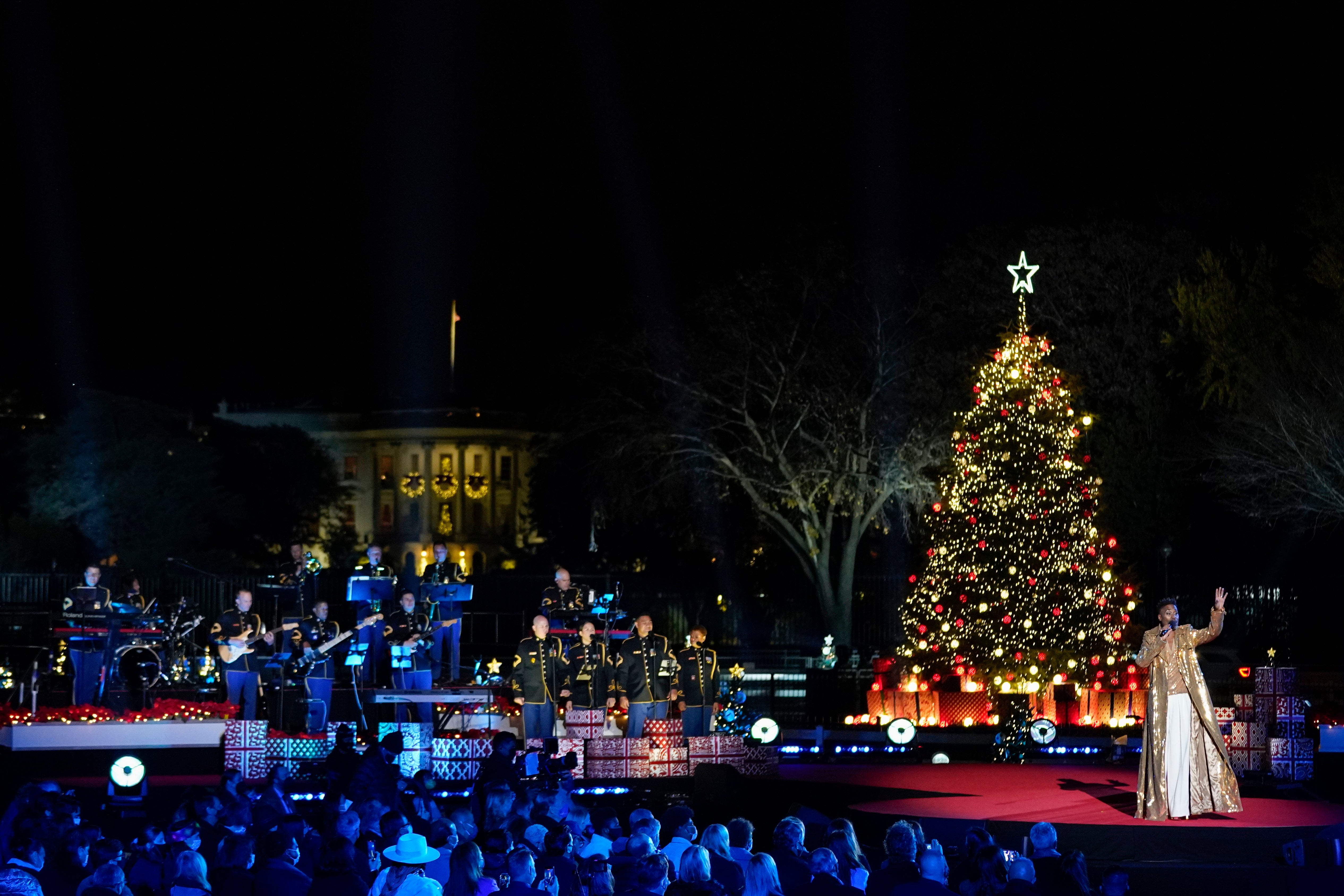 Biden Christmas Tree