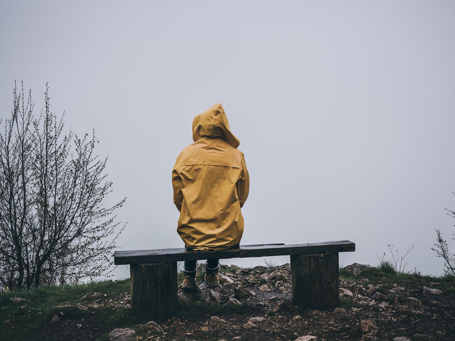 A person sits alone on a bench