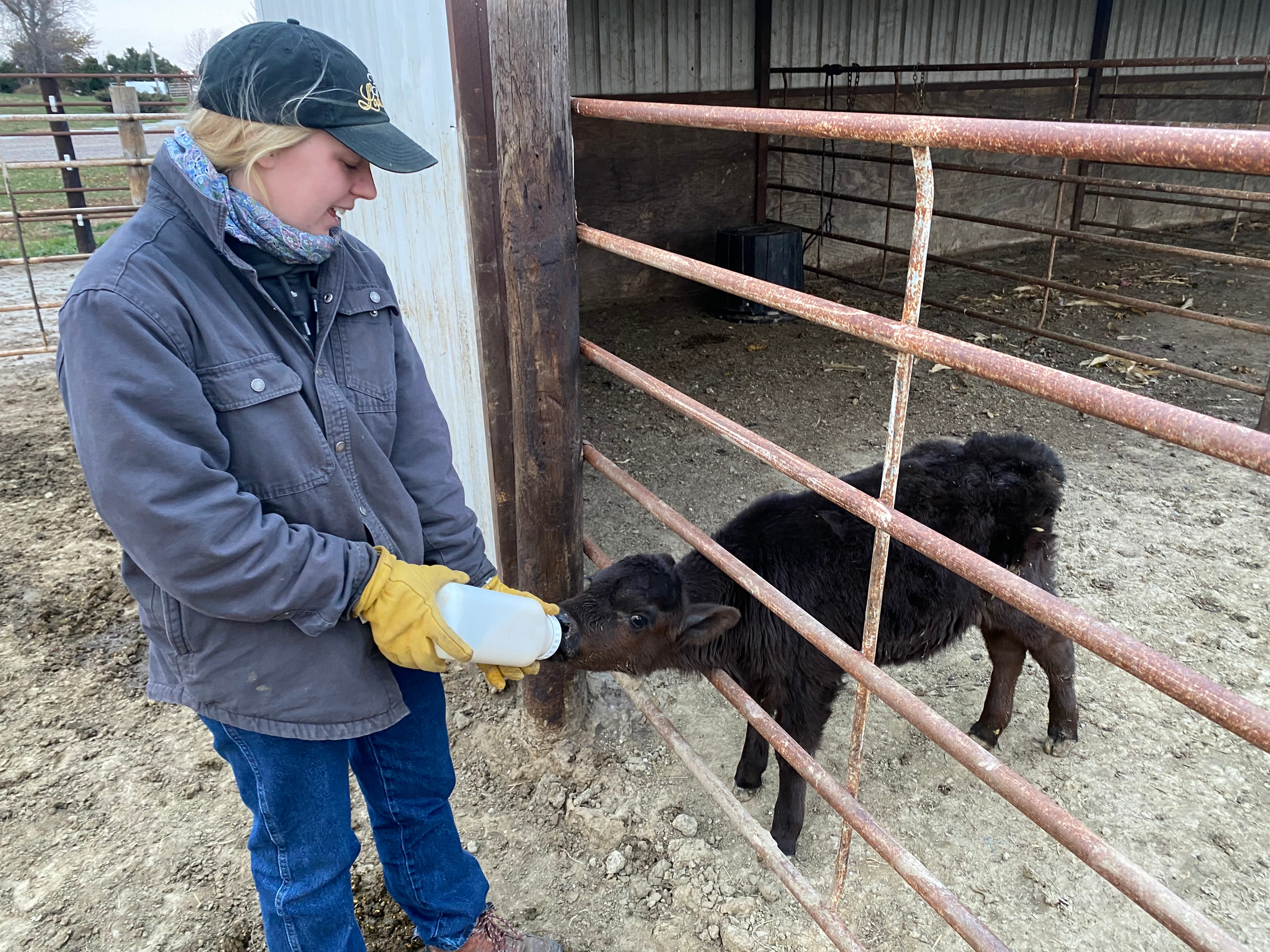 Hannah Borg feeds a calf on her Nebraska farm