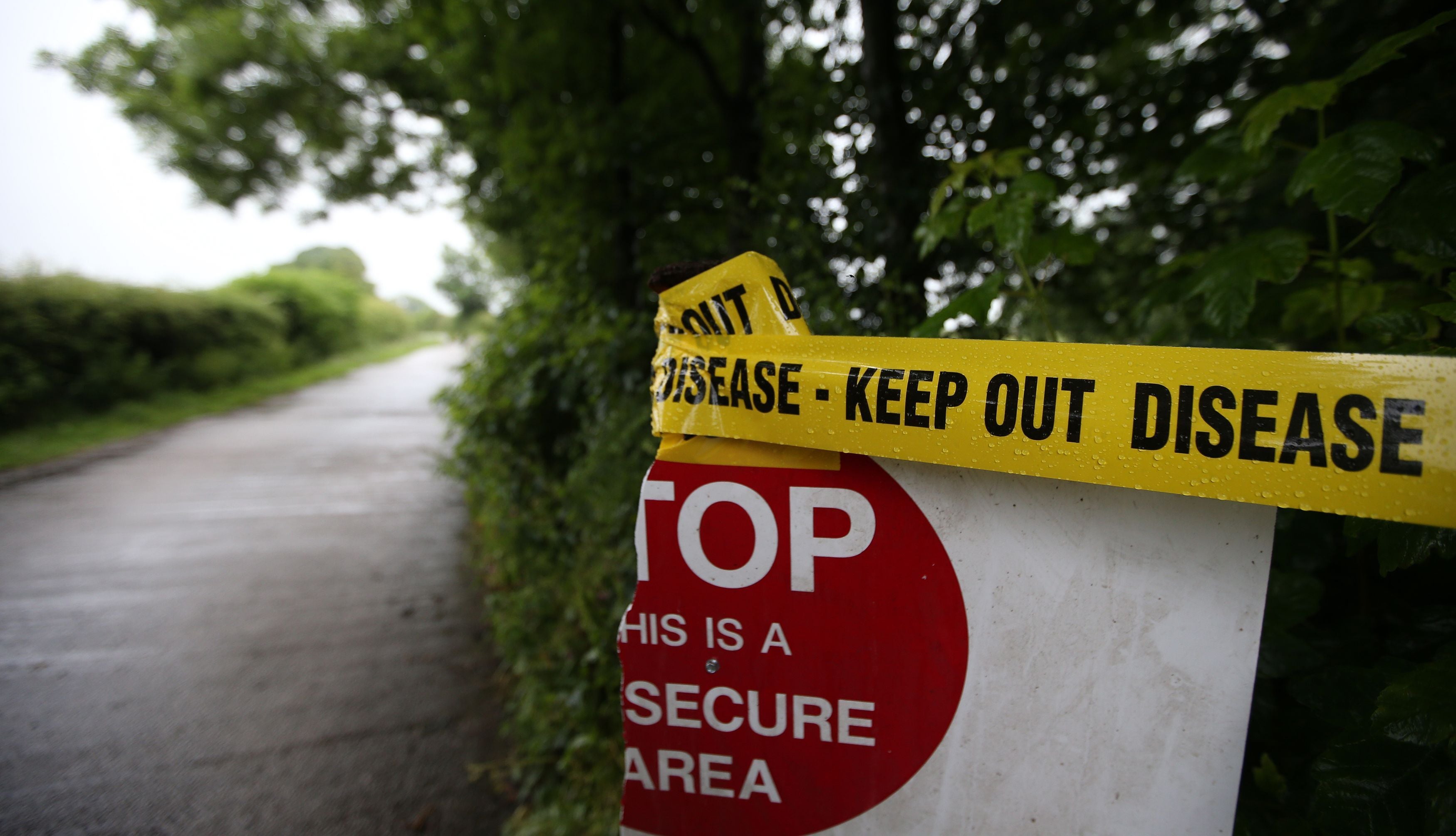 Avian flu site (Lynne Cameron/PA)