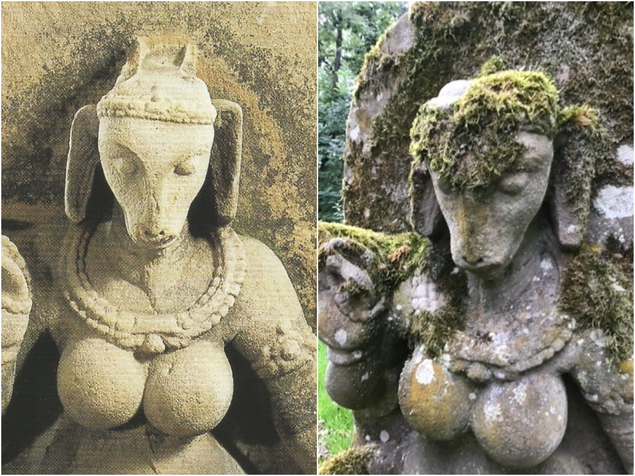 Pictures of the recovered statue of a Hindu goat-headed goddess or yogini