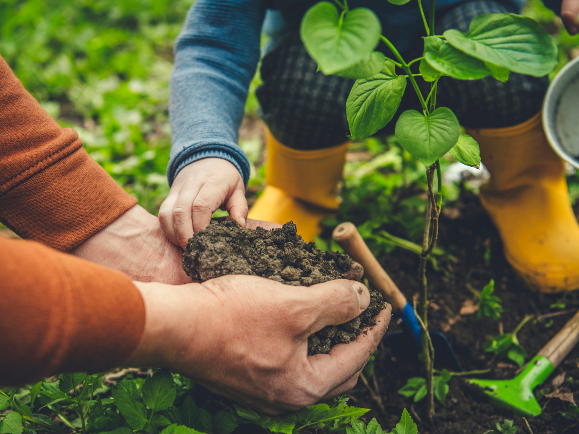 A child and their father planting a tree