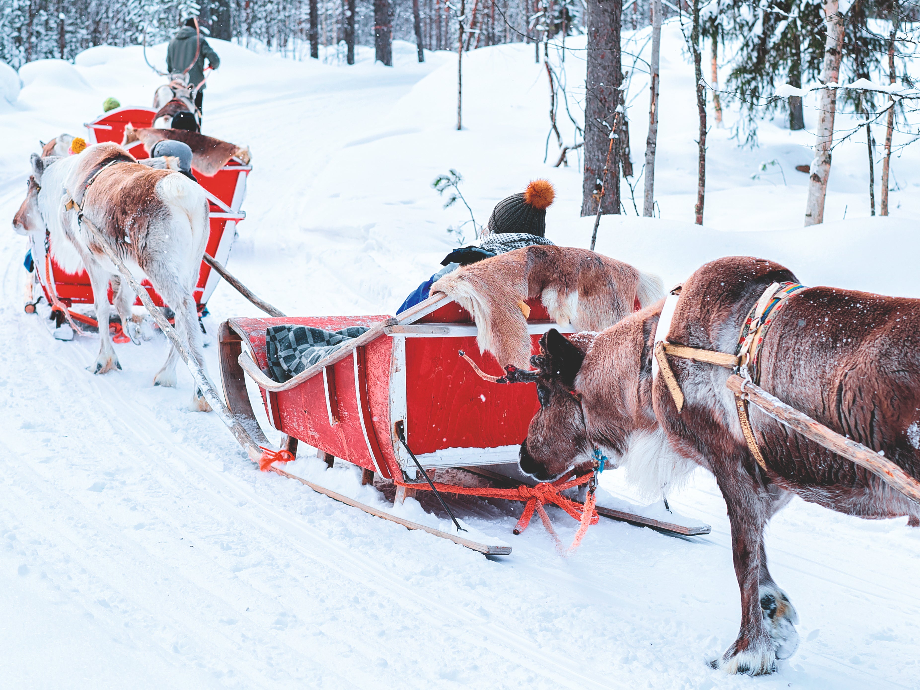 Dashing to the snow: Tui flew an plane from the Midlands to Lapland to deliver Covid tests