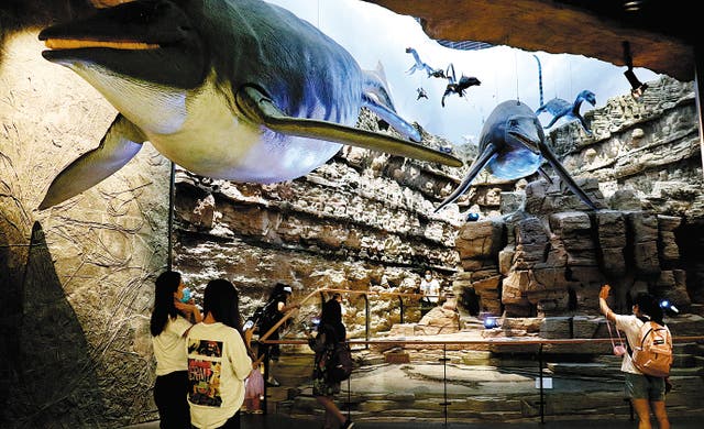 <p>Tourists visit a hall in the Geological Museum of Guizhou in Guiyang, Guizhou province</p>