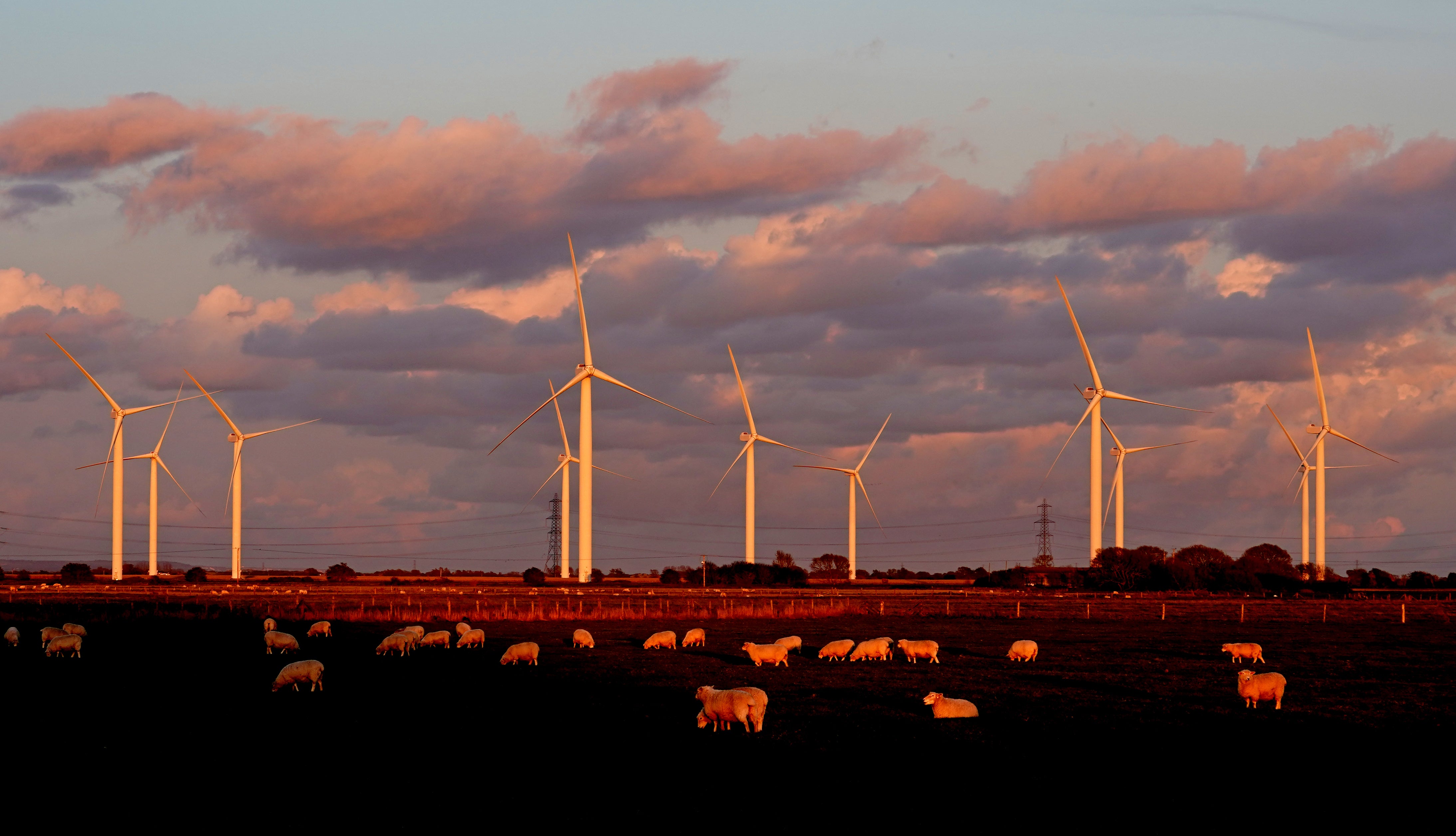 SSE’s renewable business should be split off, Elliott said (Gareth Fuller/PA)