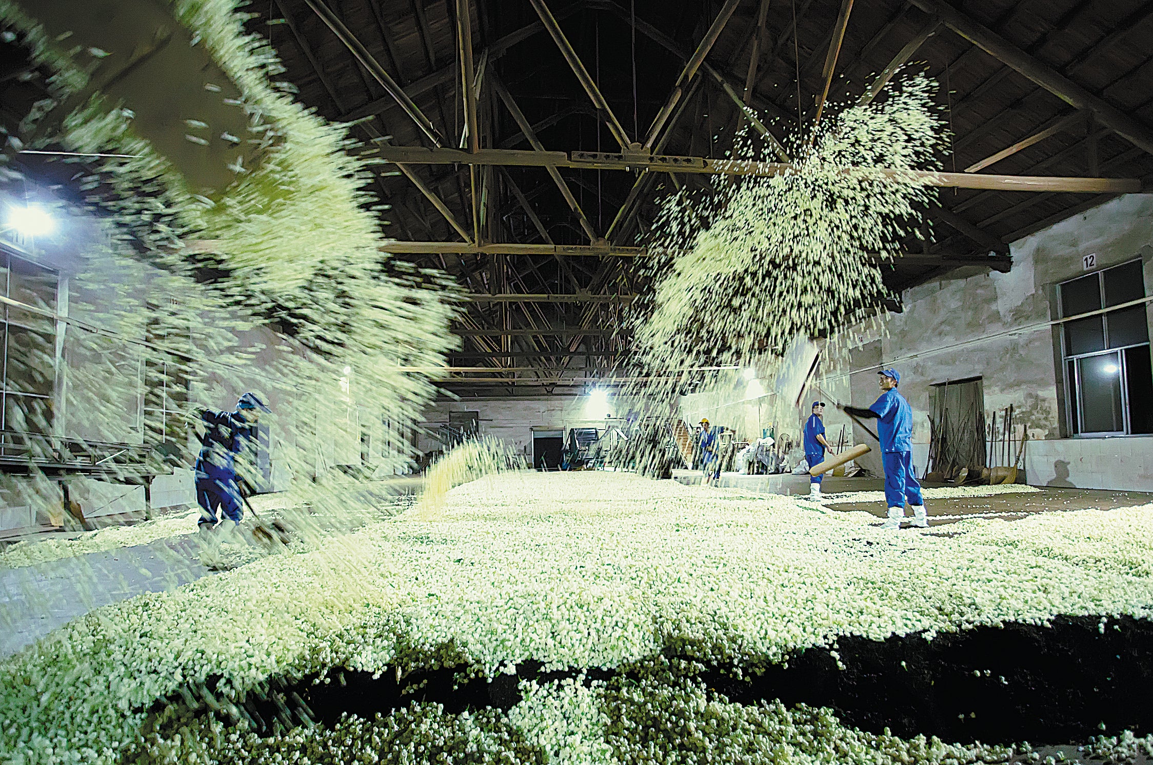 Workers process jasmine tea at a factory in Hengxian county