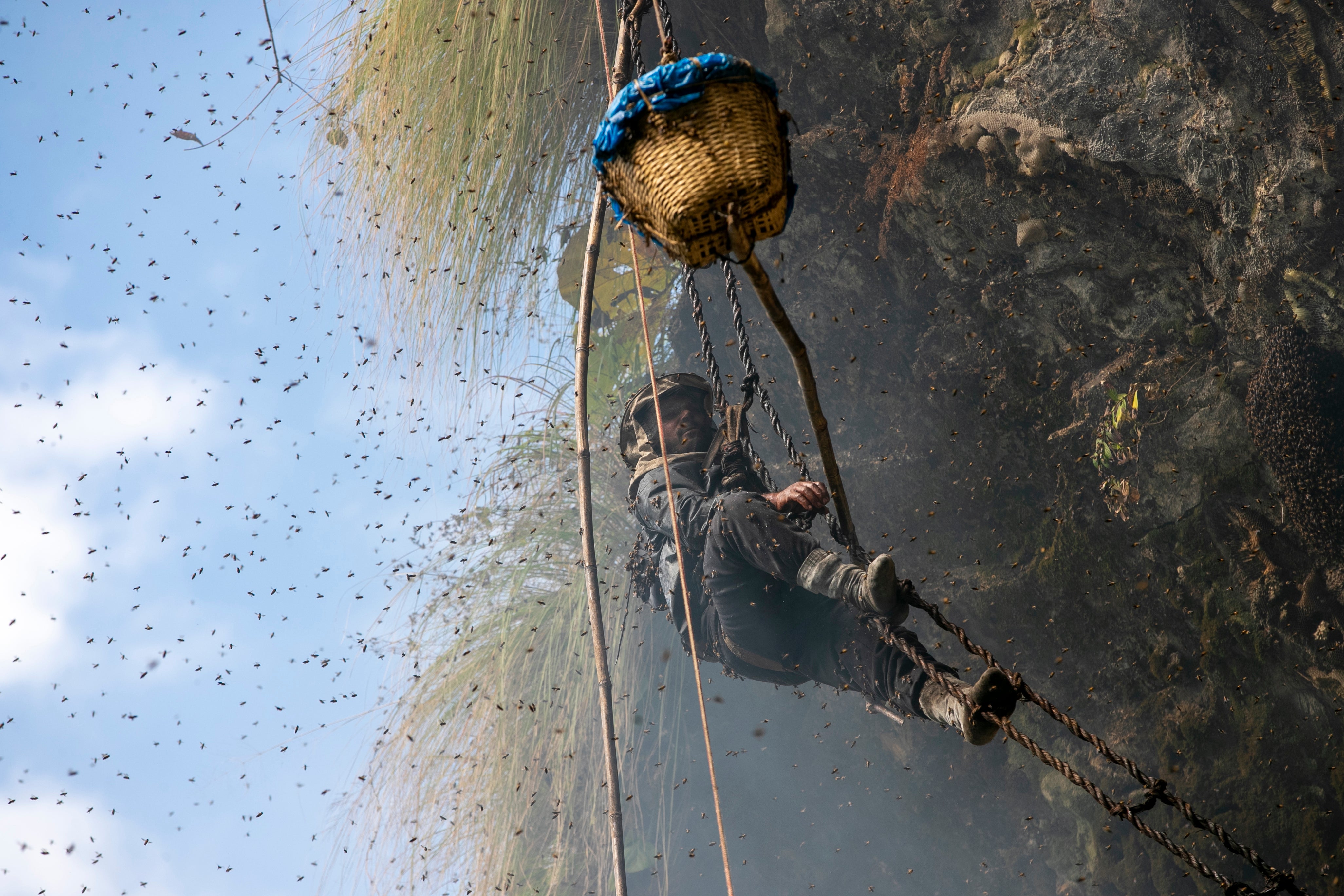 Nepal Honey Hunters Photo Gallery