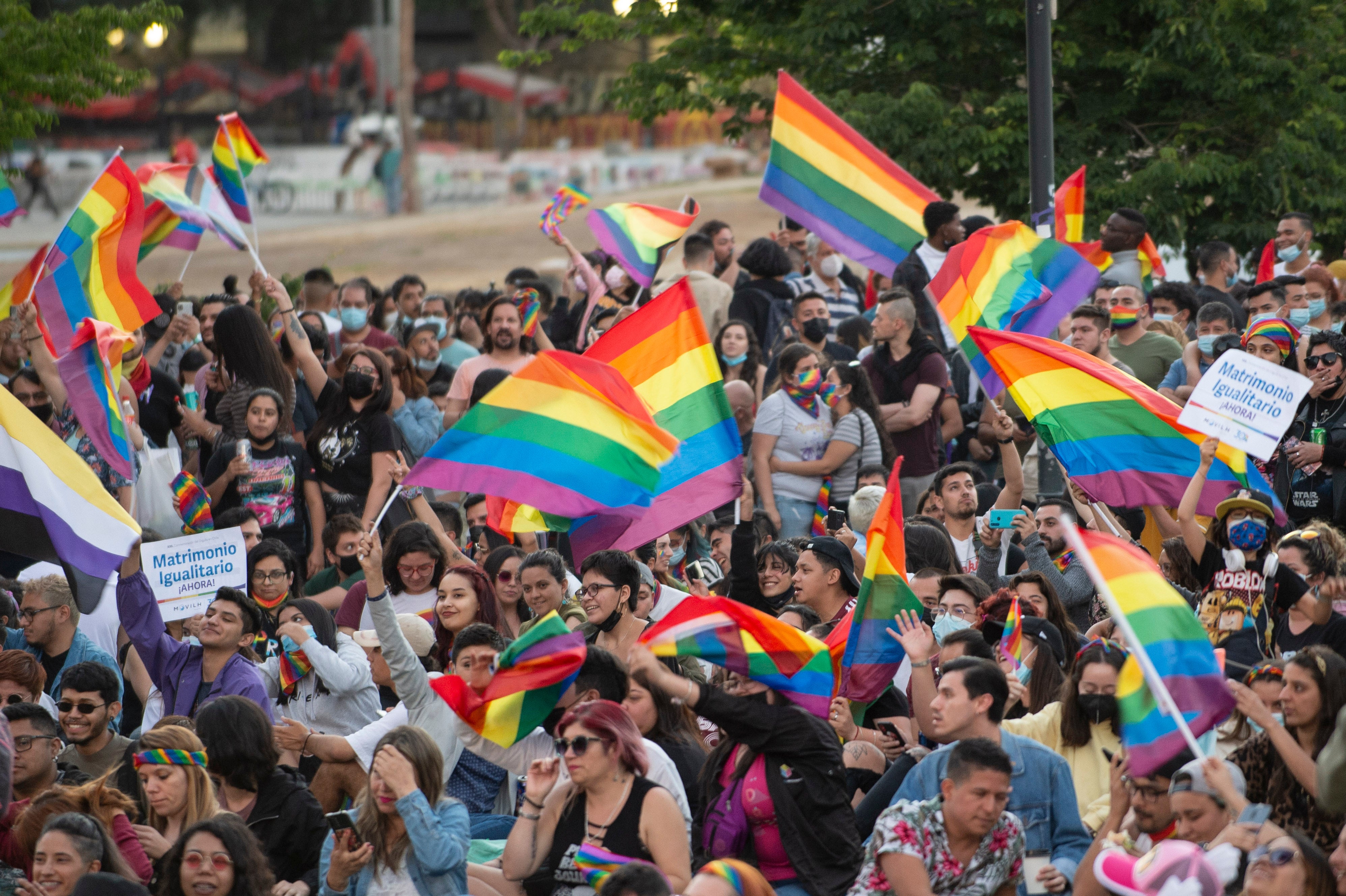 People celebrate waving rainbow flags during a rally after the bill for same-sex marriage was approved