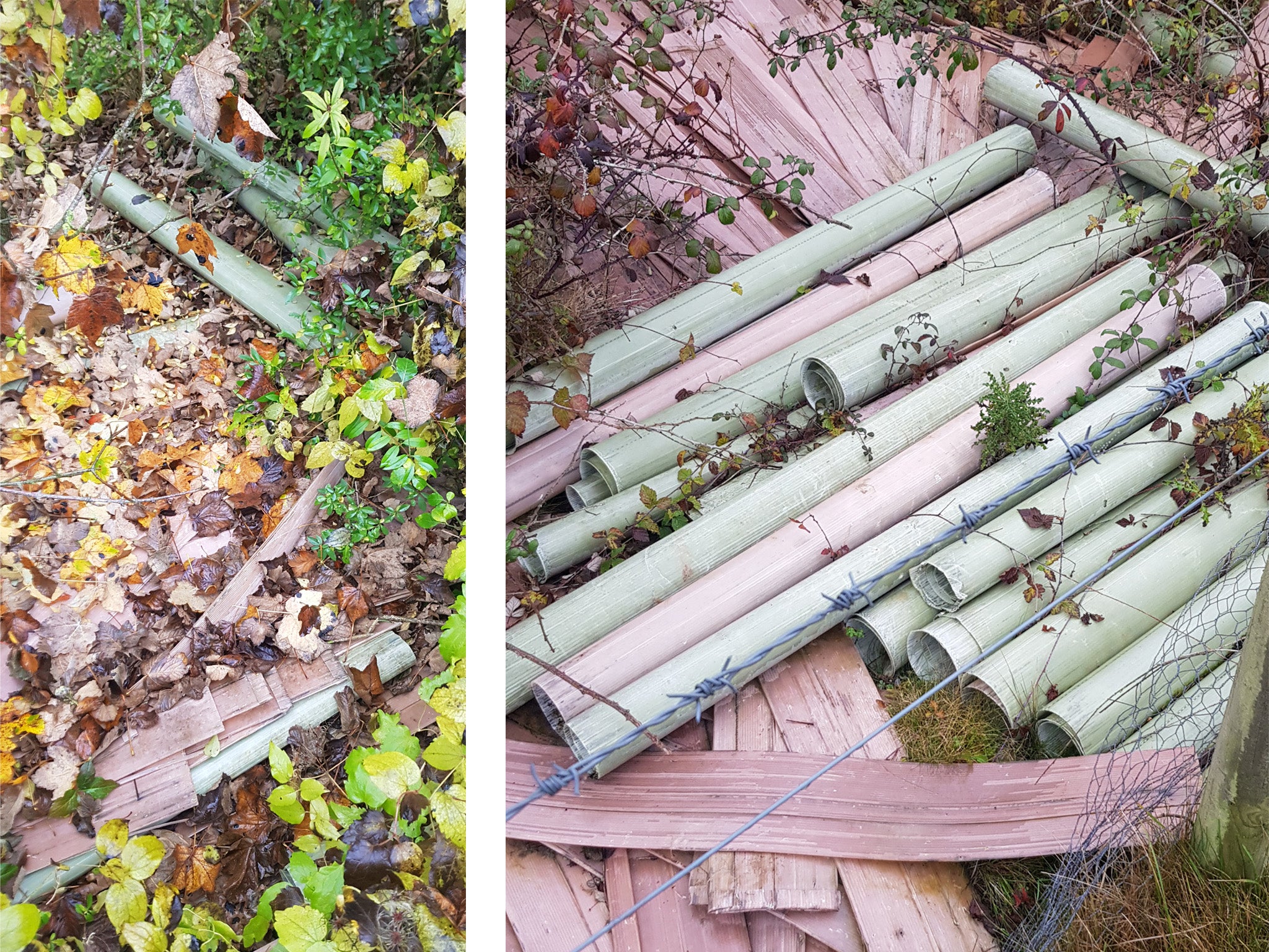 Thirty-year-old plastic tree guards used to protect trees from being eaten sitting as non-biodegradable waste on the forest floor