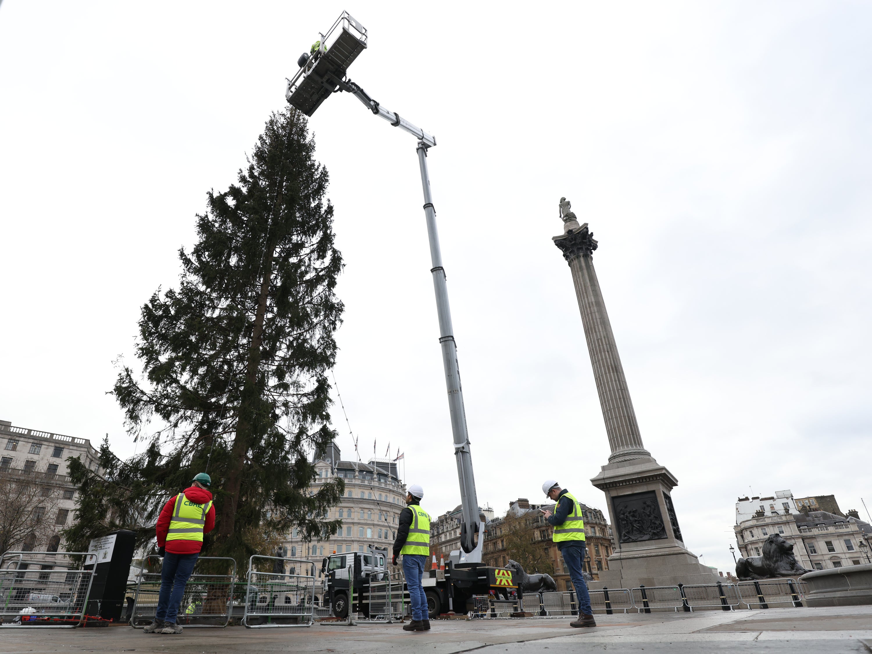 Workers put the finishing touches to the Trafalgar Square Christmas tree (James Manning/PA)