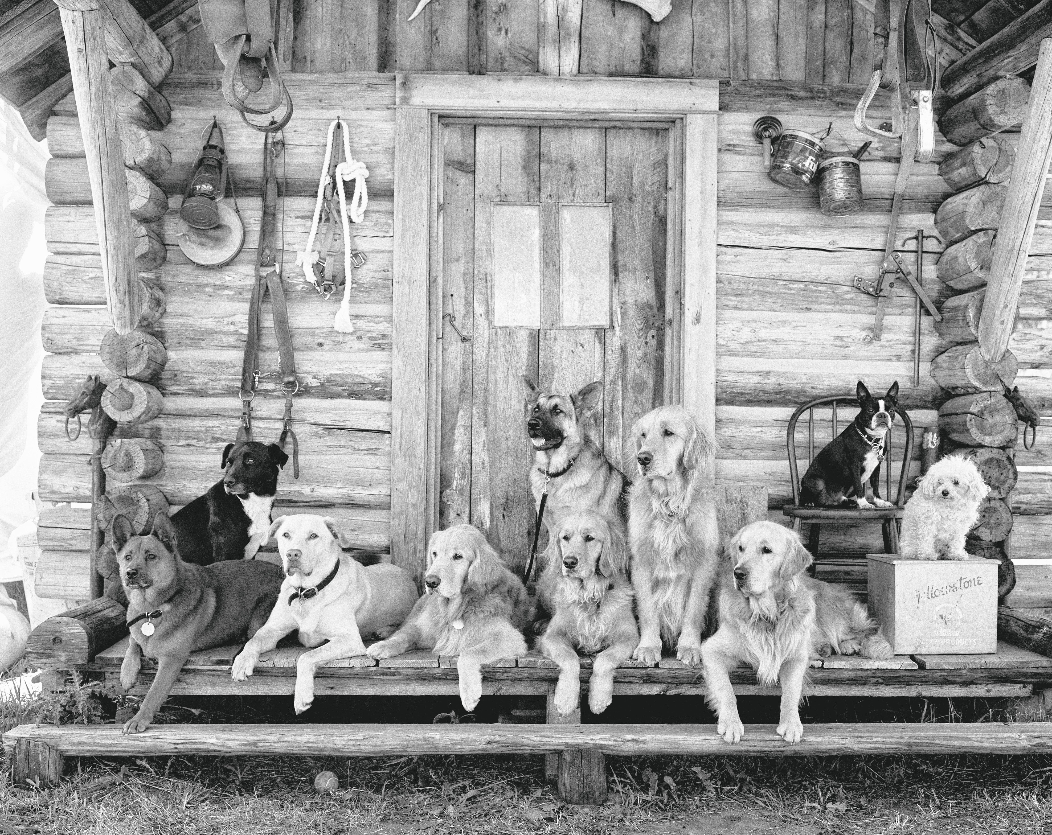 The gang at Little Bear Ranch, McLeod, Montana, 1995