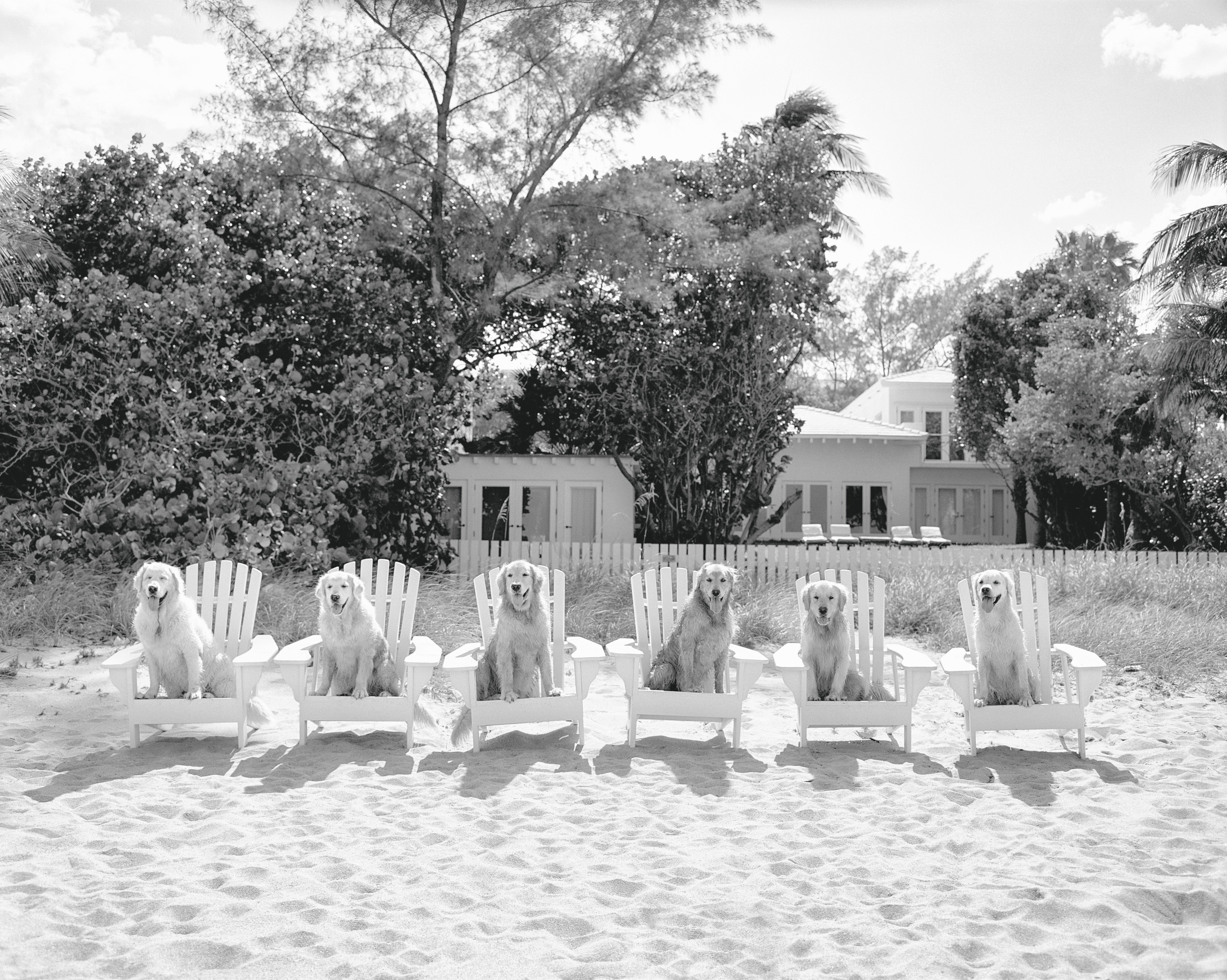 The gang, Golden Beach, Florida, 2017