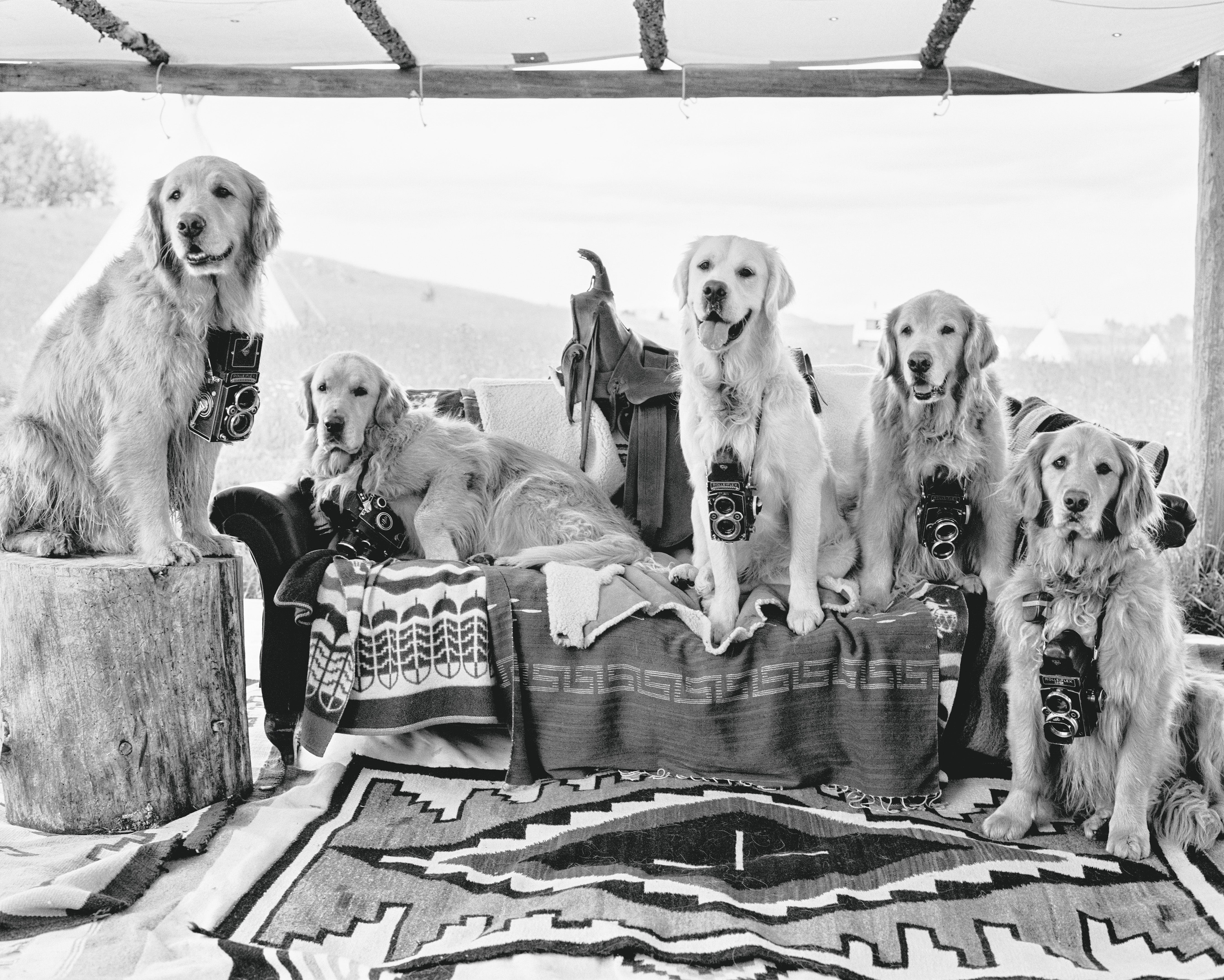 The Official Meeting of the Montana Rolleiflex Camera Club, Little Bear Ranch, McLeod, Montana, 1997