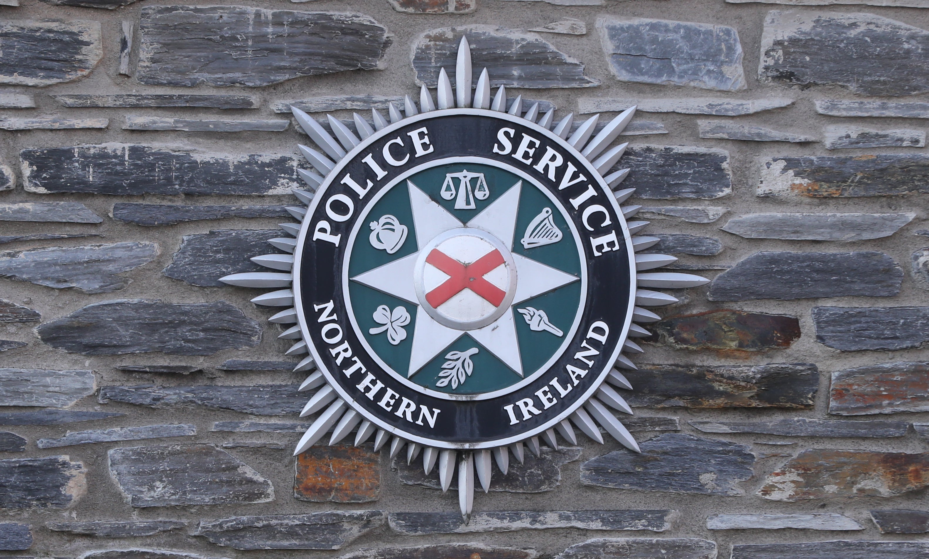 Police Service of Northern Ireland (PSNI)