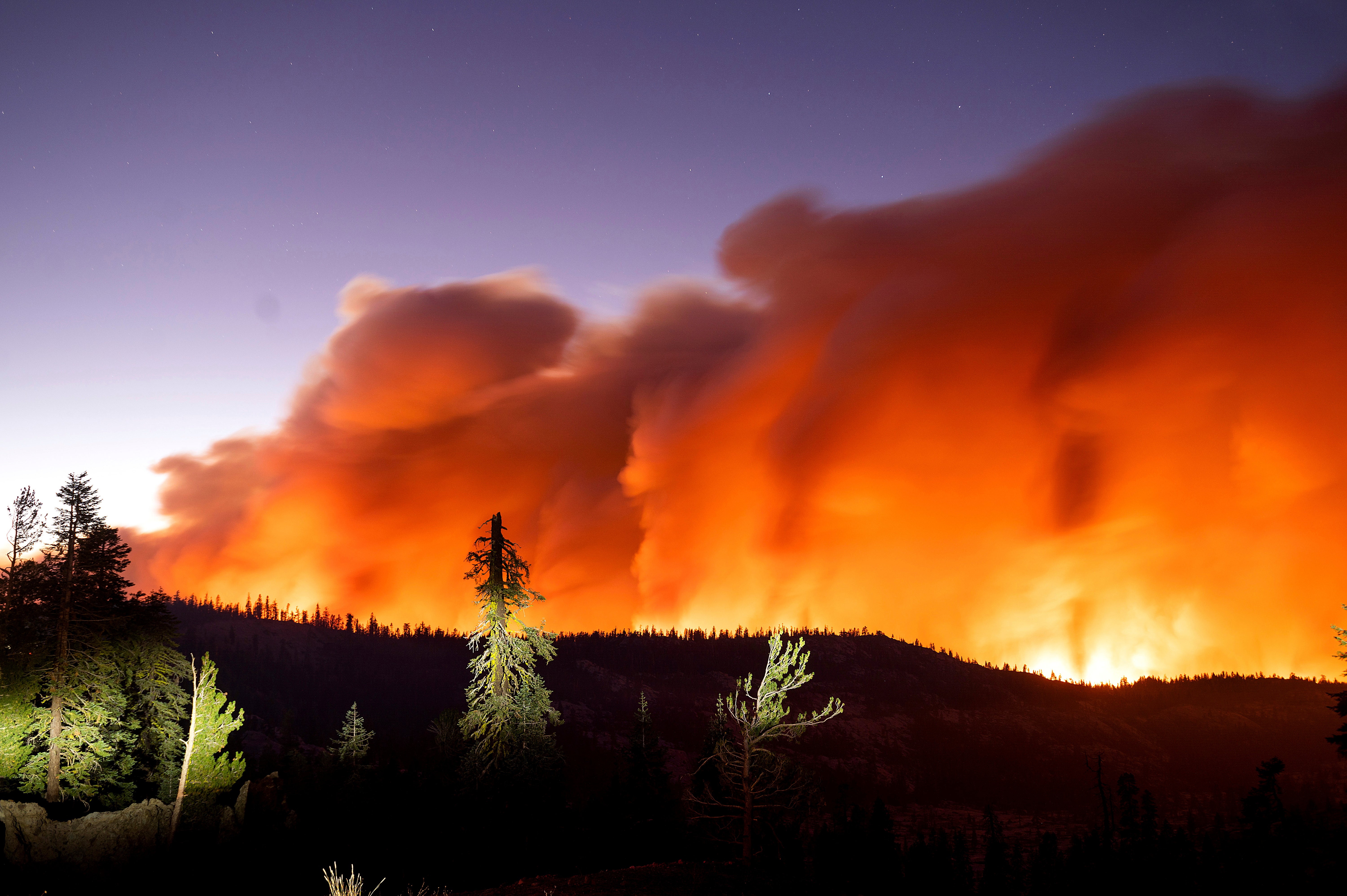 California Tahoe Wildfire Arrests