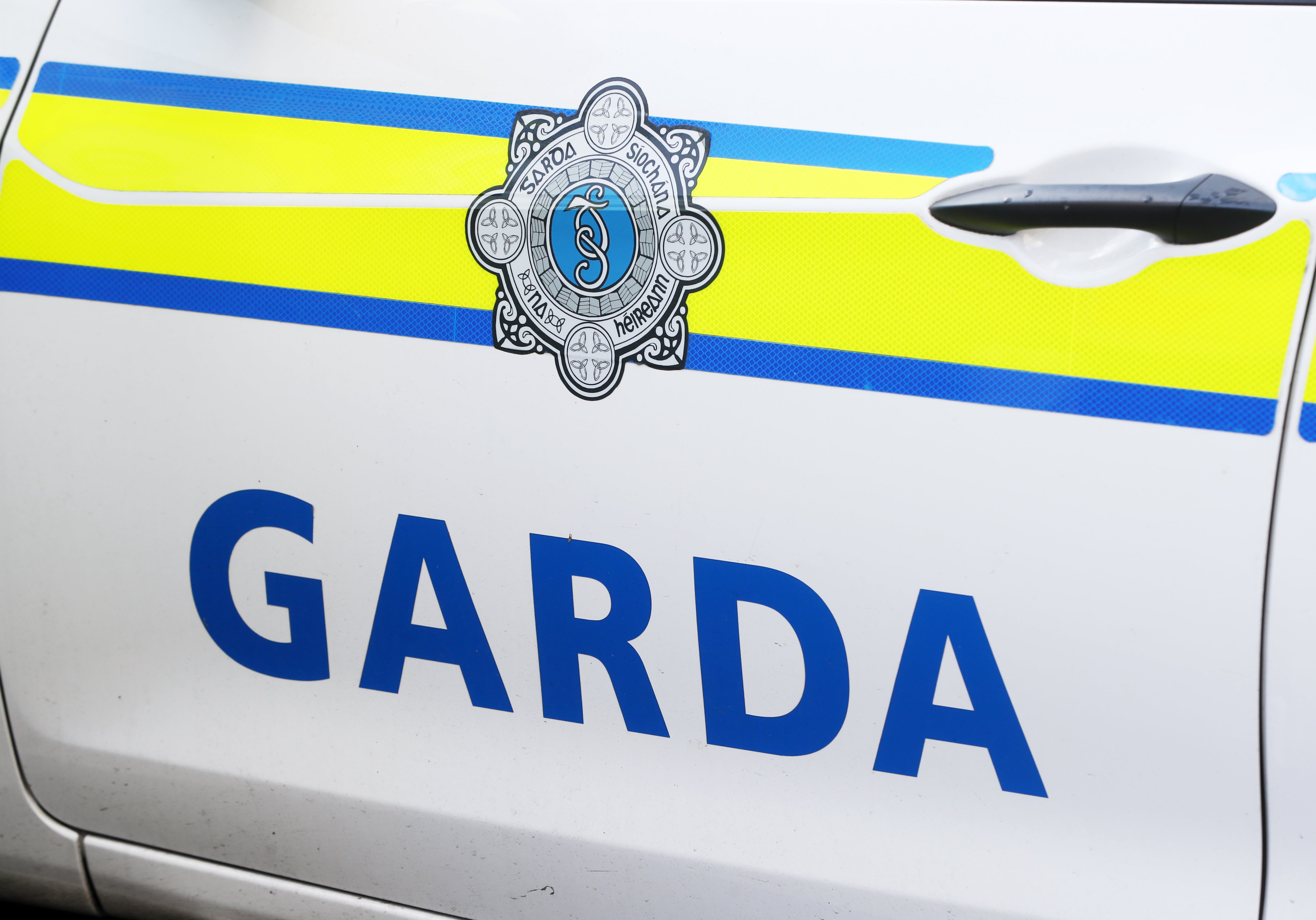 Gardai have arrested a man, 56, over the murder (PA)