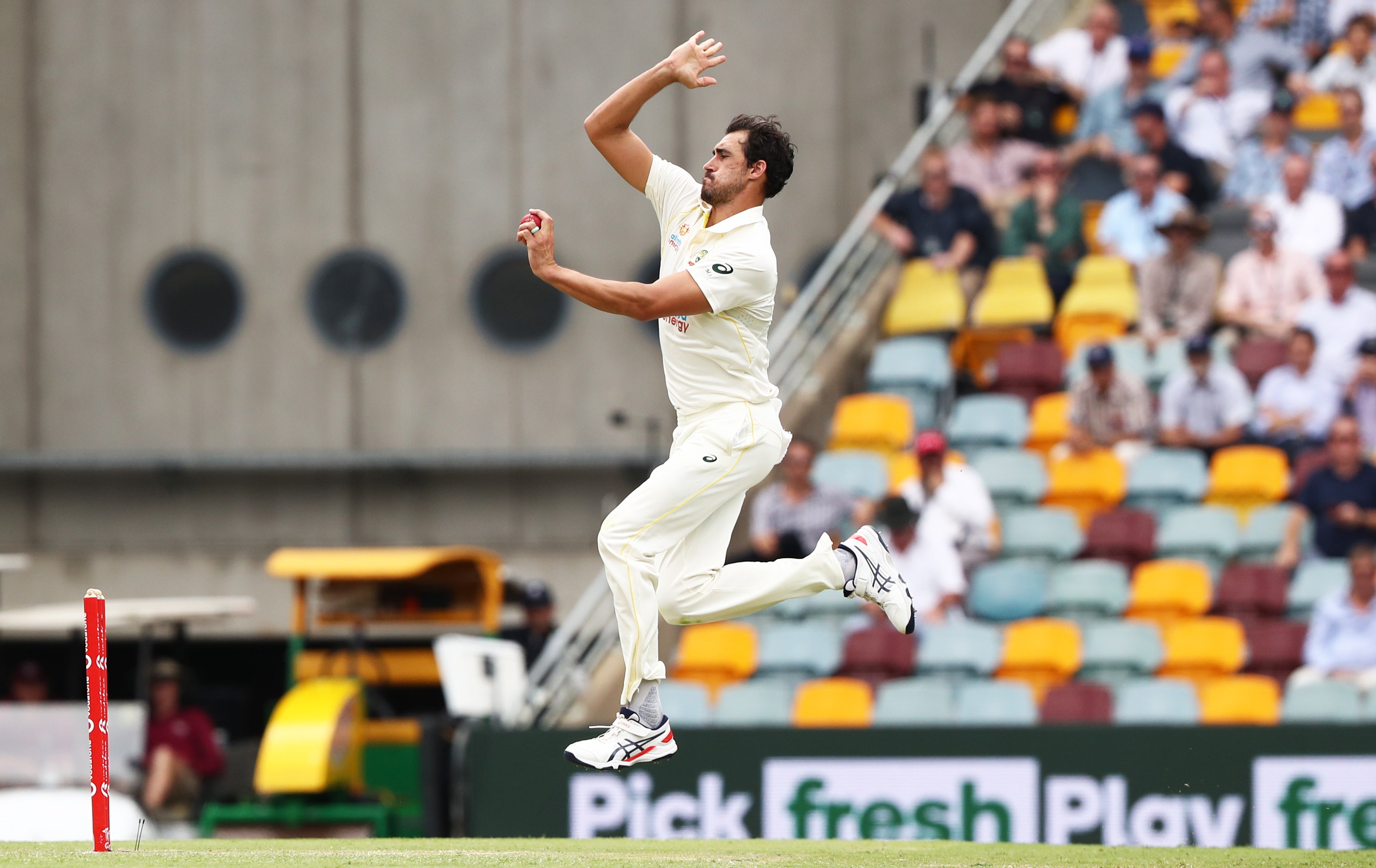 Mitchell Starc boasts the most fierce record around, with 46 wickets at 18.86 (Jason O’Brien/PA)