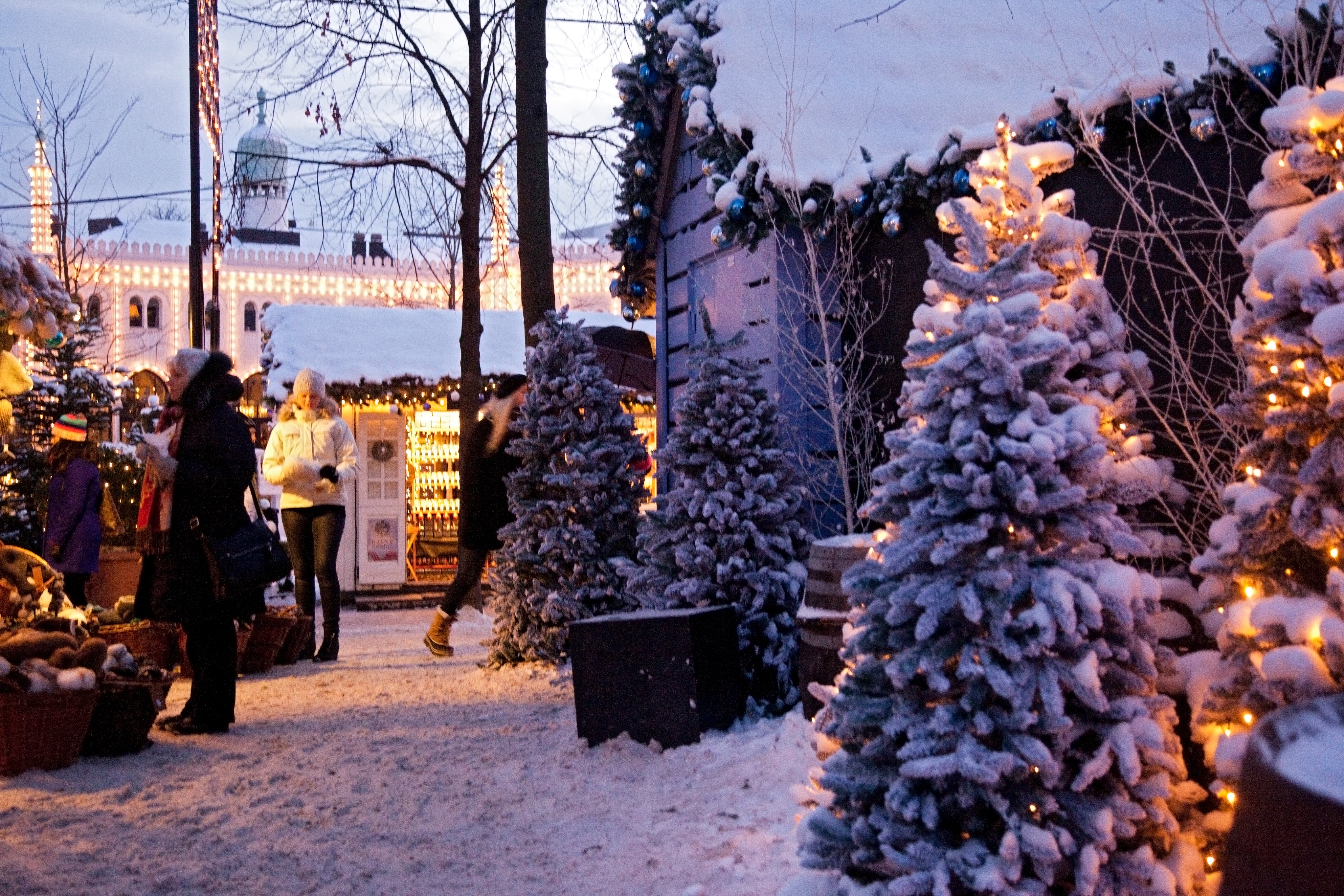 Wintertime in Tivoli Gardens, which has more than a thousand Christmas trees