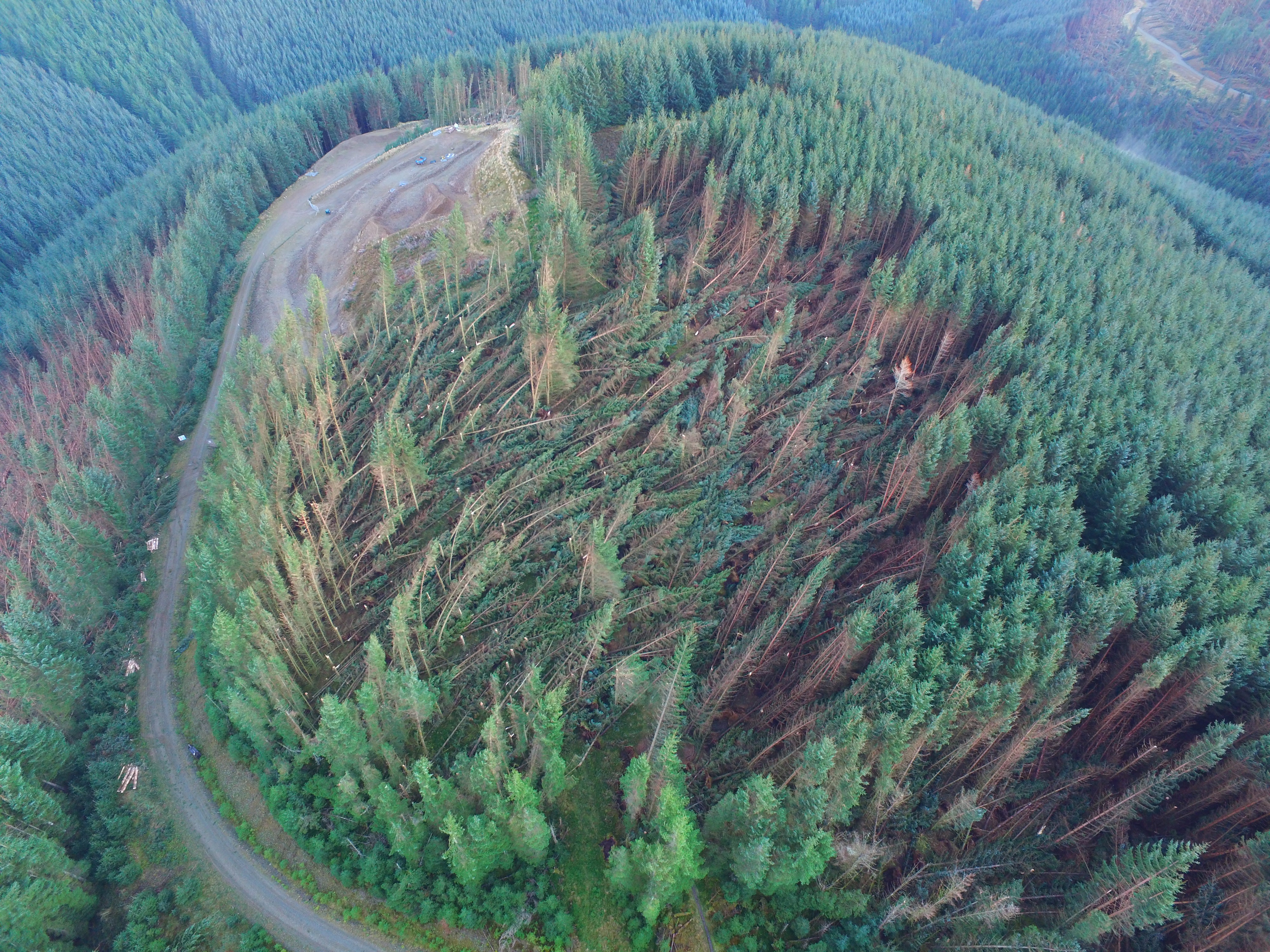 Trees in Glentress Forest in the Scottish Borders were damaged by Storm Arwen (Forestry and Land Scotland/PA)