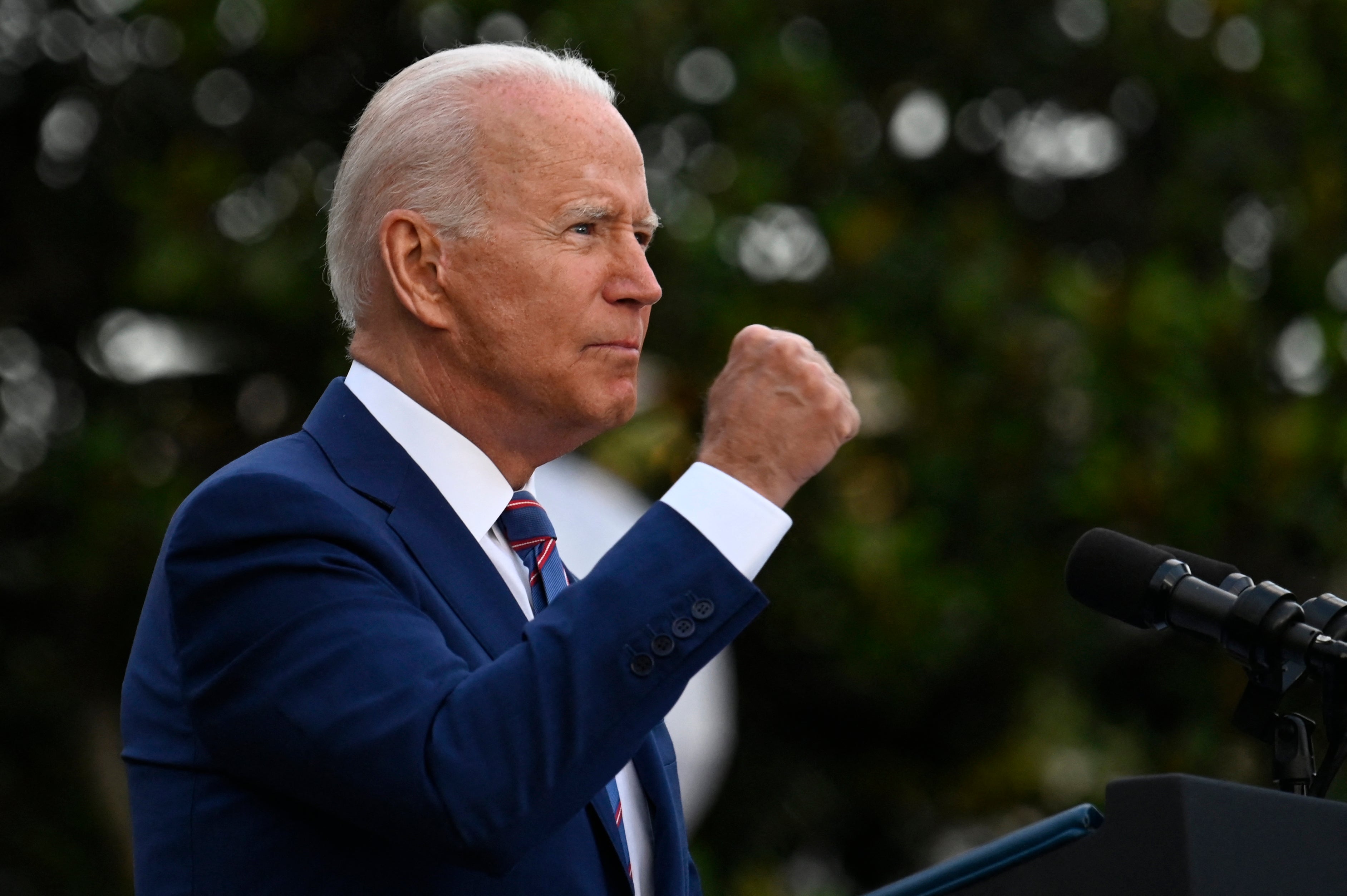 Biden said he had the experience to restore normality in America