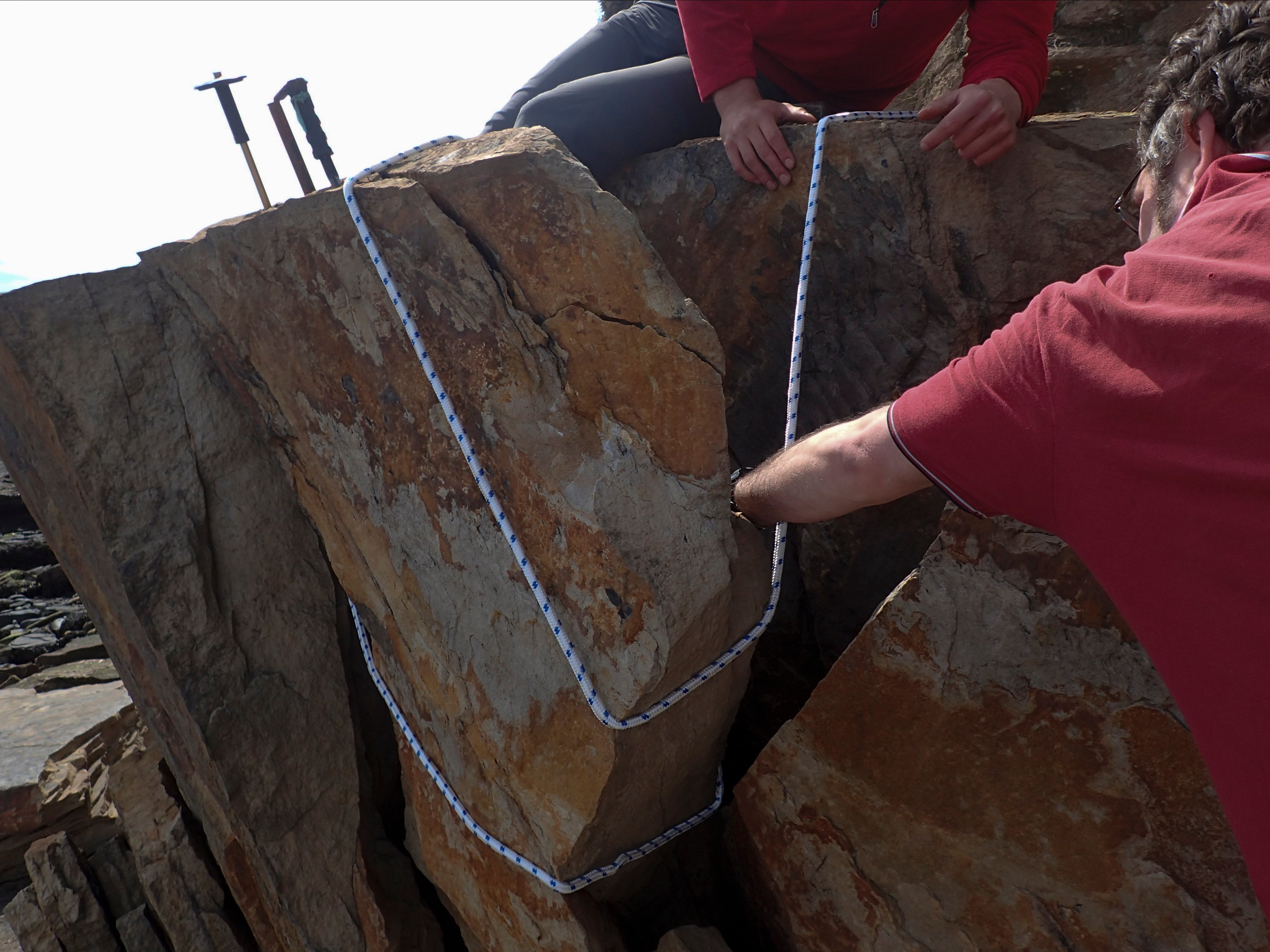 Scientists remove the fossil of the giant millipede Arthropleura from Howick Bay in Northumberland, England