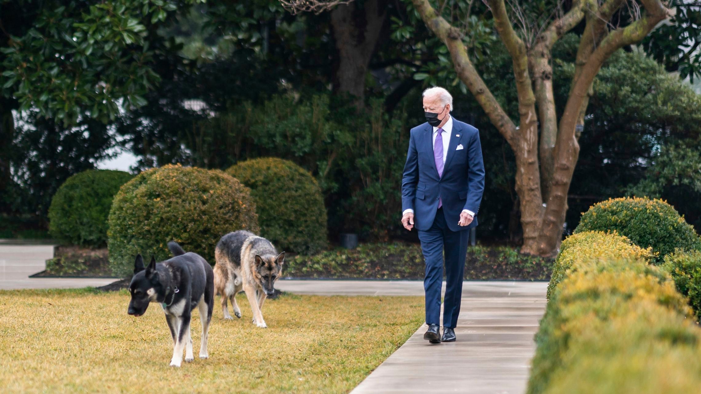 President Biden confers with Champ (left) and Major (center) outside the White House