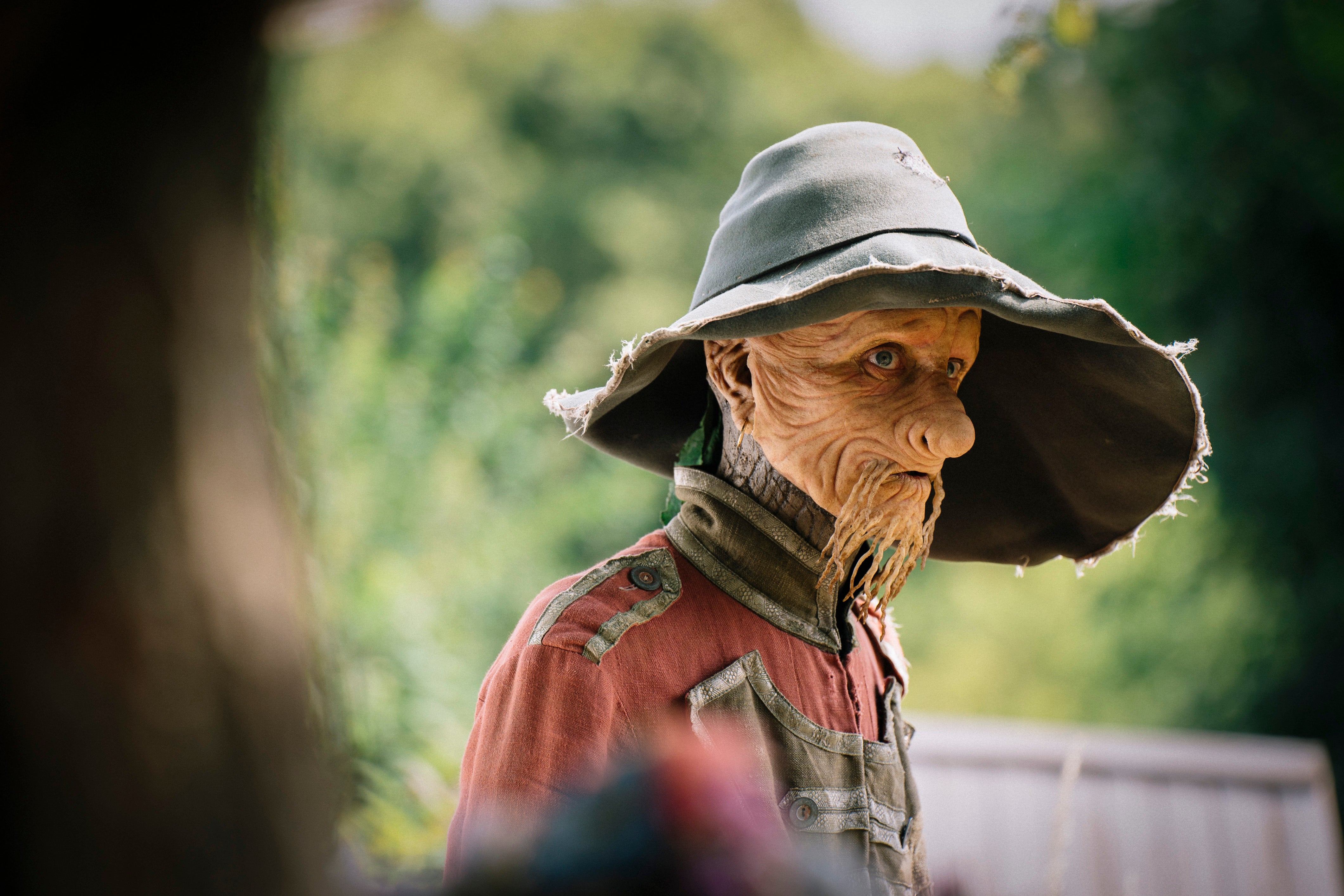 Crook as Worzel Gummidge