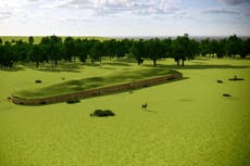 Archaeologists draw up ‘oldest family tree’ from relatives found buried together 5,600 years ago