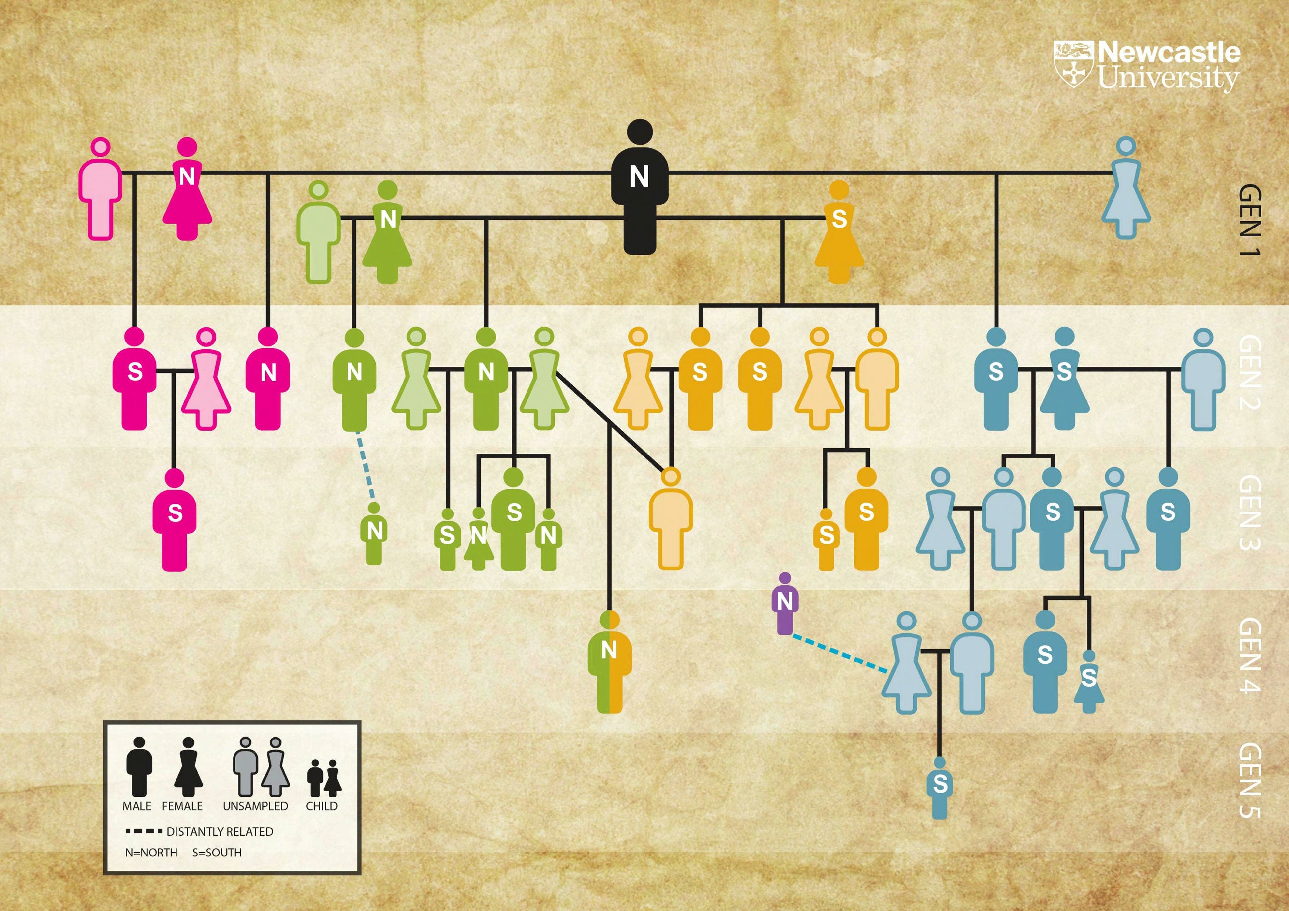 A graphic shows the family tree