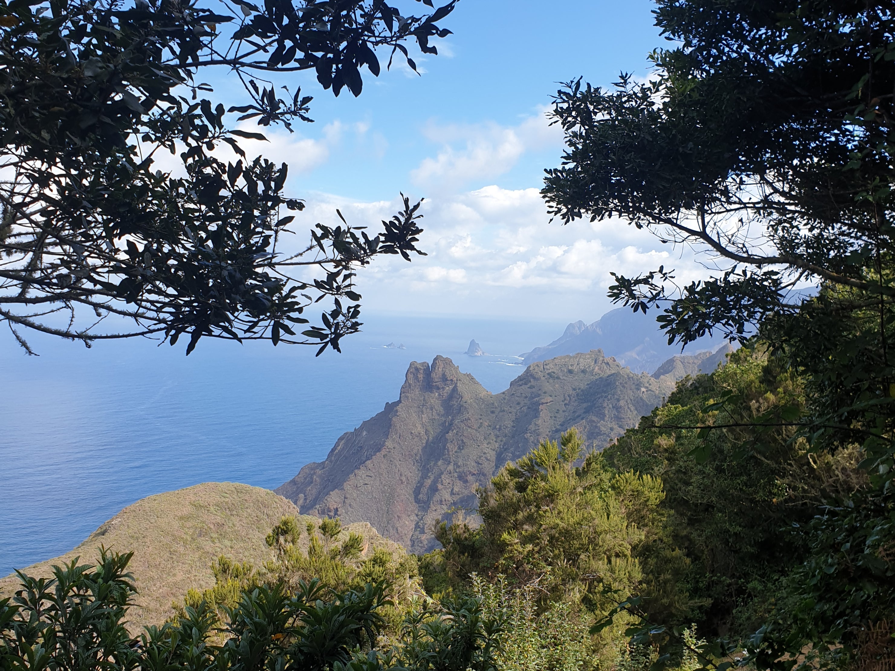 Macizo de Anaga in northeast Tenerife