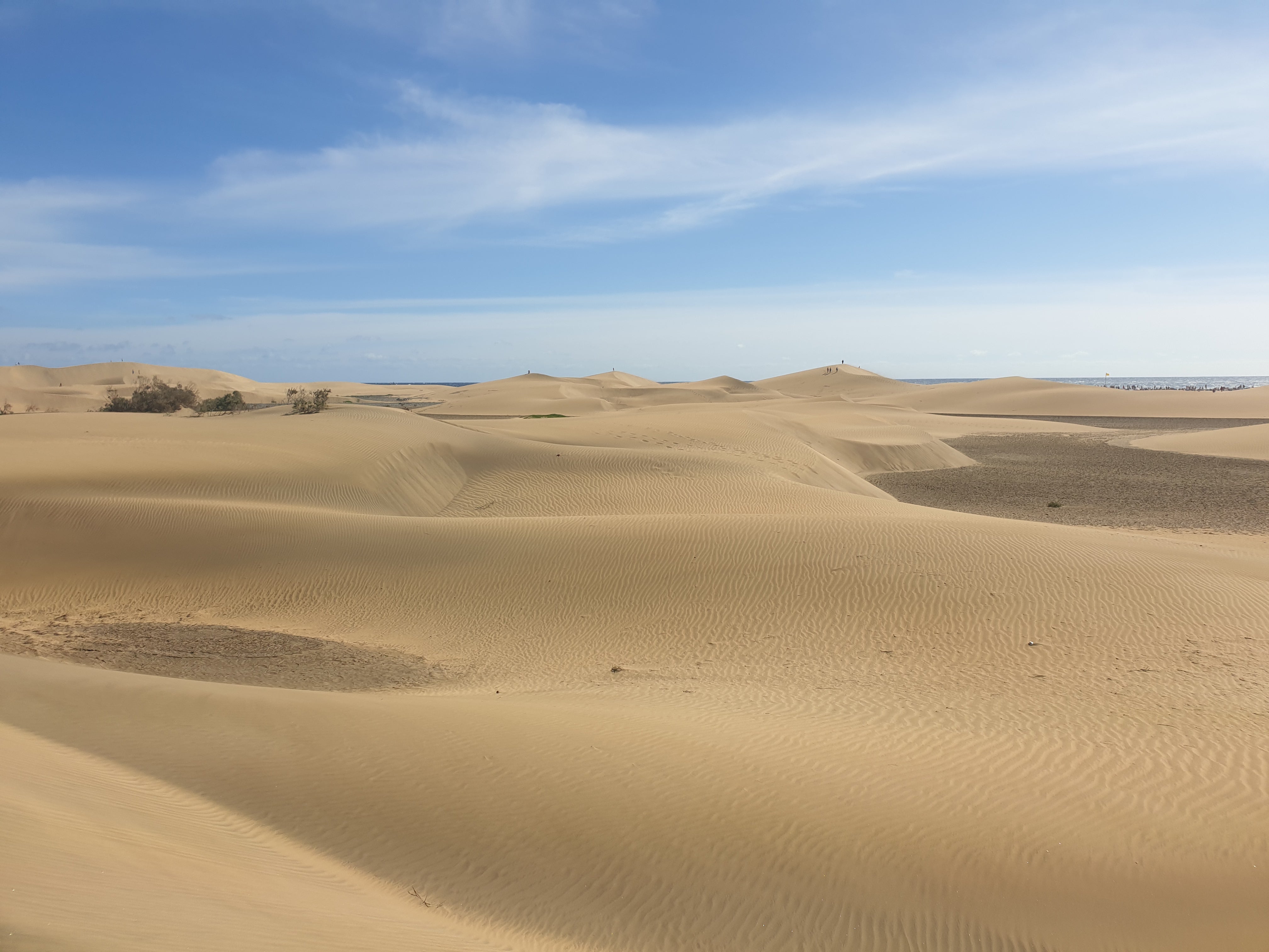 The rolling Maspalomas dunes