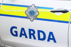 Father and son found dead in Co Donegal home after suspected murder suicide
