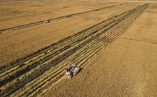 Climate change boosts spread of crop pests in China, threatens food security, says study